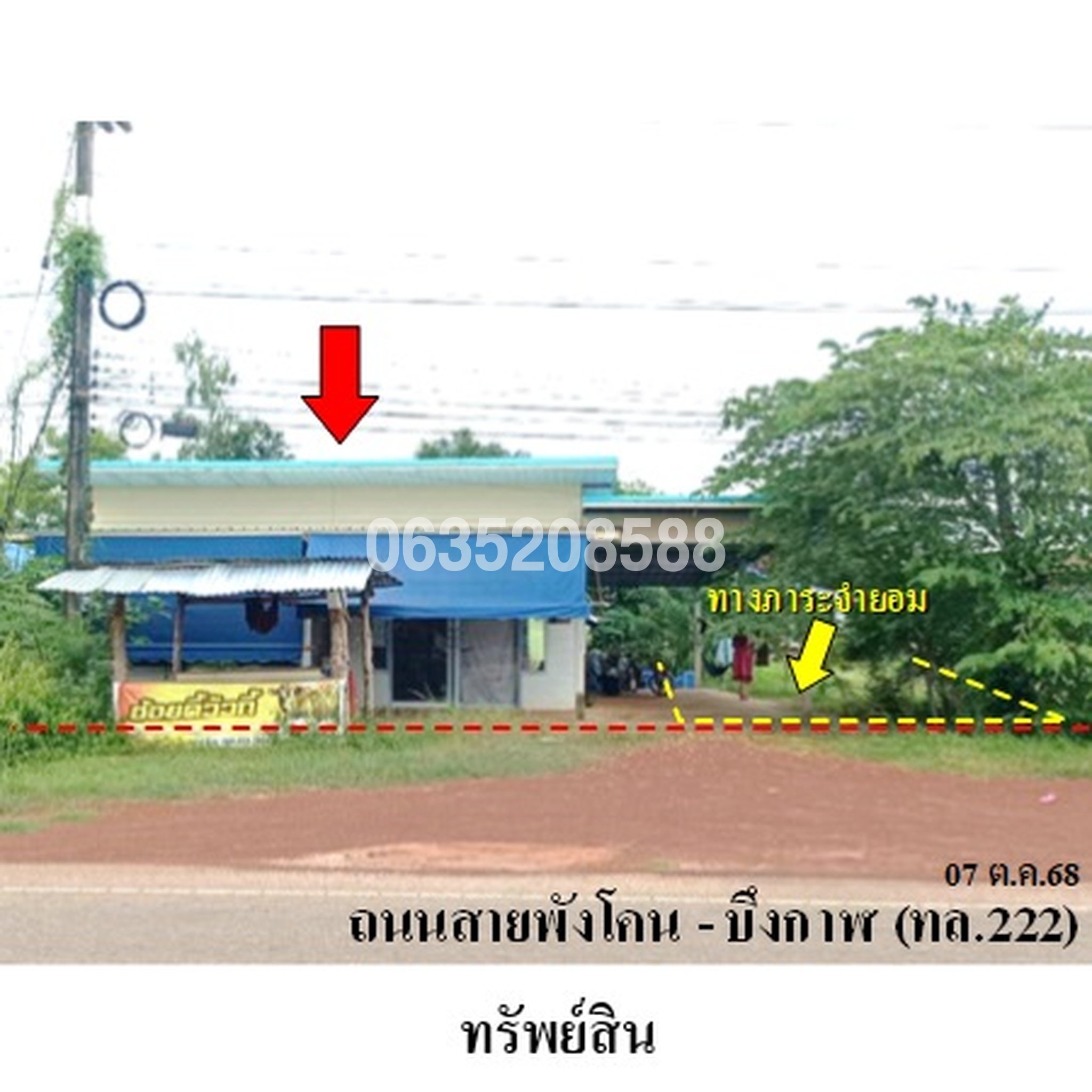 ขายบ้านเดี่ยว ถนนสายพังโคน-บึงกาฬ (ทล.222)