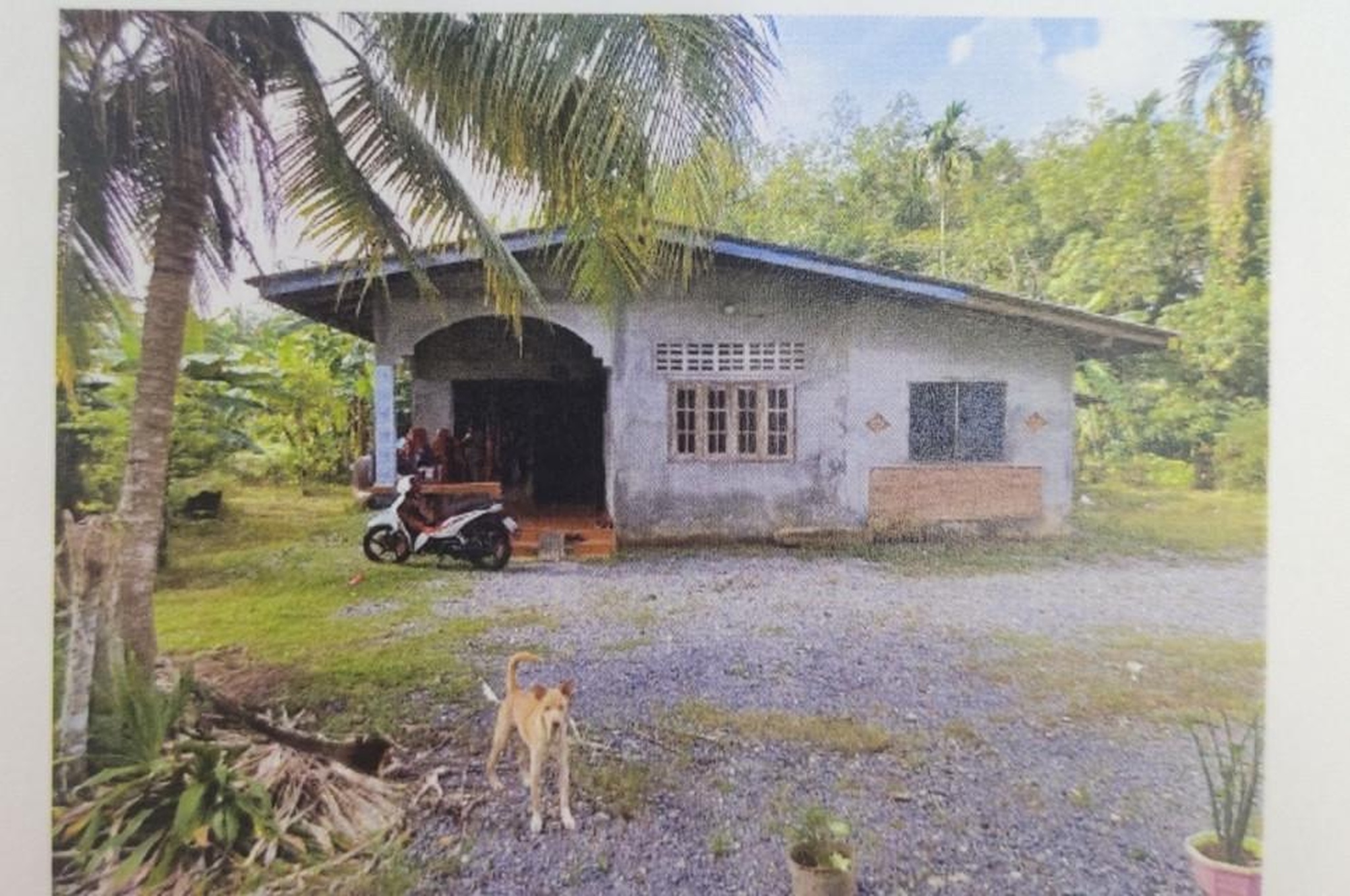 ทรัพย์สถาบันโดย GHB บ้านเดี่ยว ซอยสายสามัคยาราม - บ้าน ถนนสายสามร้อยกล้า - บ้า