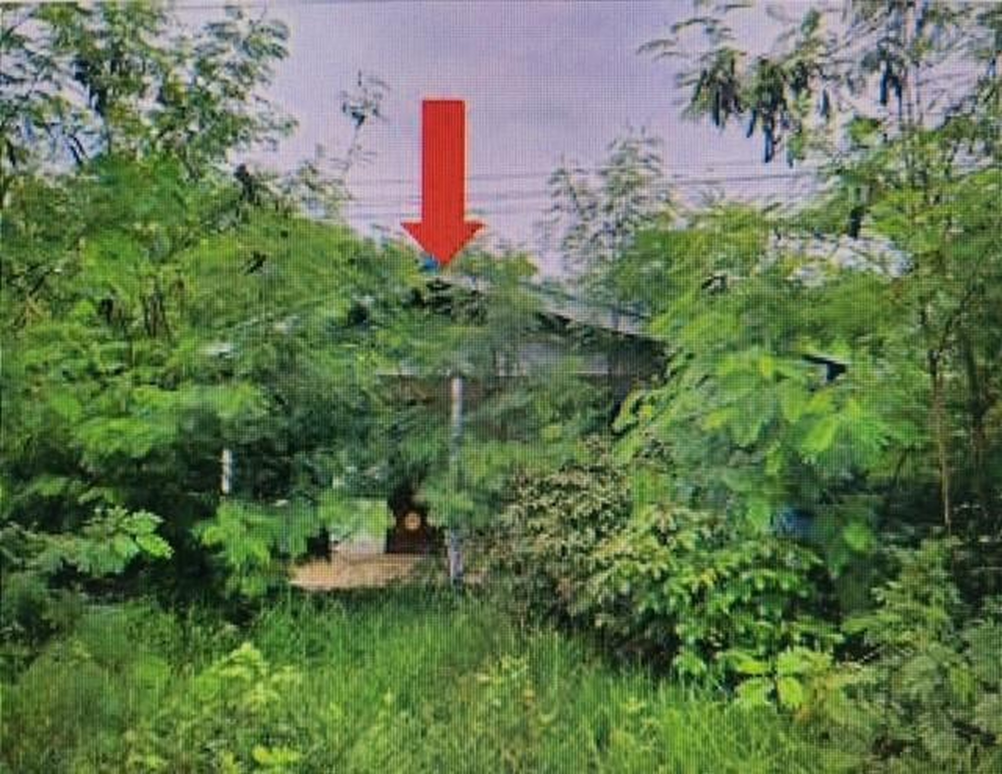 ทรัพย์สถาบันโดย GHB บ้านเดี่ยว ถนนสายโคกสุก-วังหมัน (ช