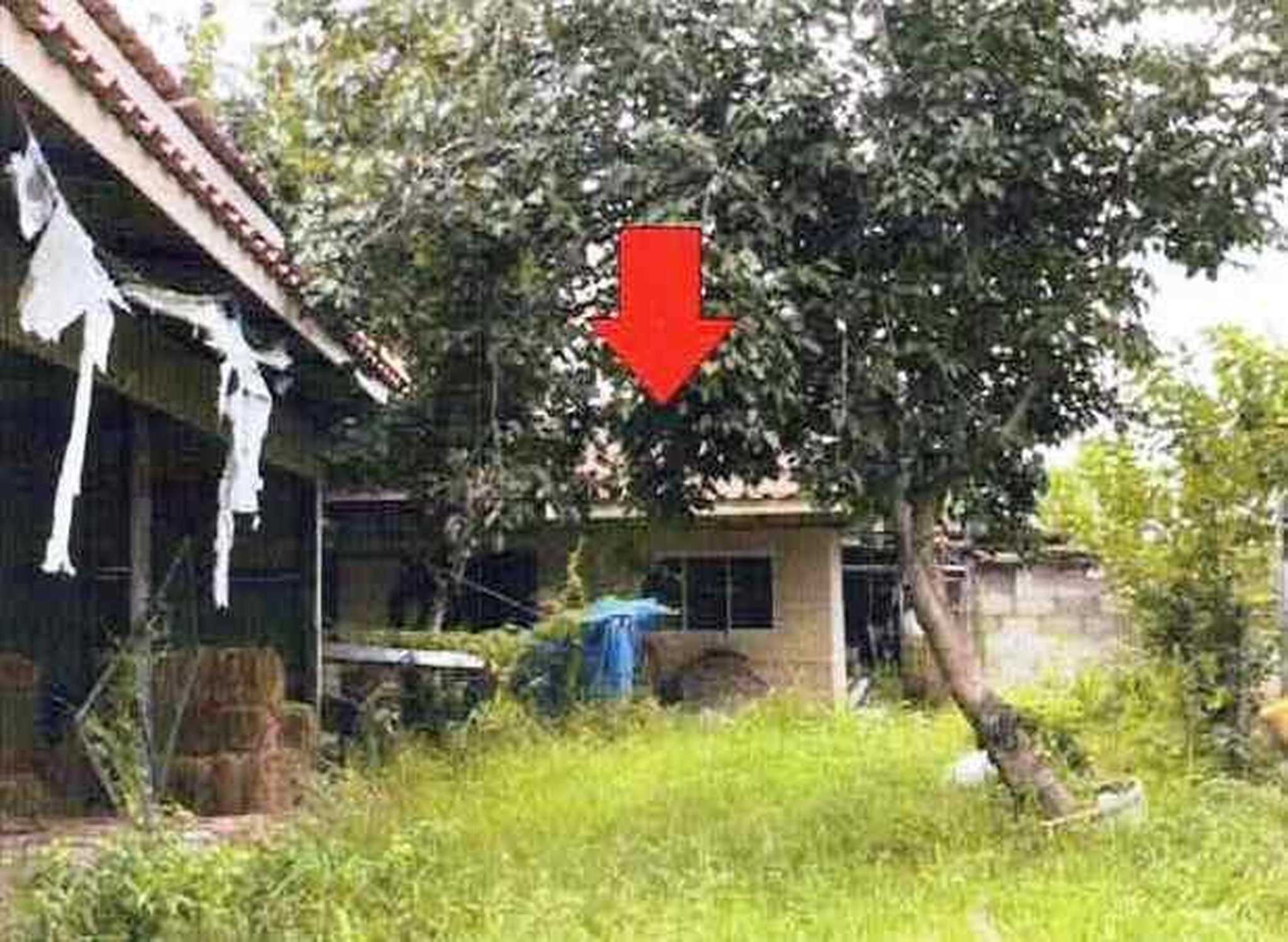 ทรัพย์สถาบันโดย GHB บ้านเดี่ยว ซอยทางเข้าชุมชนบ้านคอกค ถนนสายน้ำพอง-เชียงยืน(ข