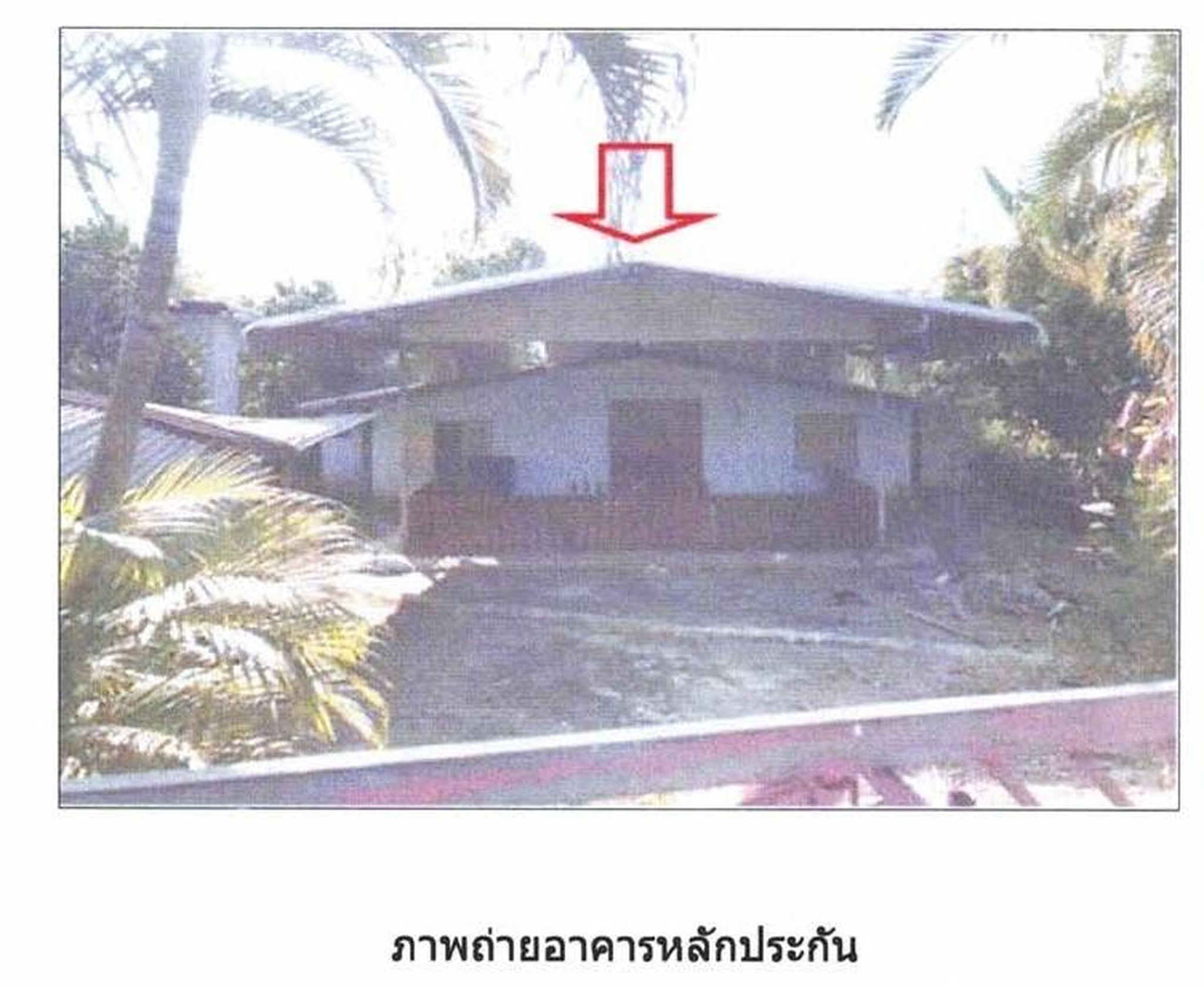 ทรัพย์สถาบันโดย GHB บ้านเดี่ยว ถนนสายเลย-นาด้วง(ทล.213