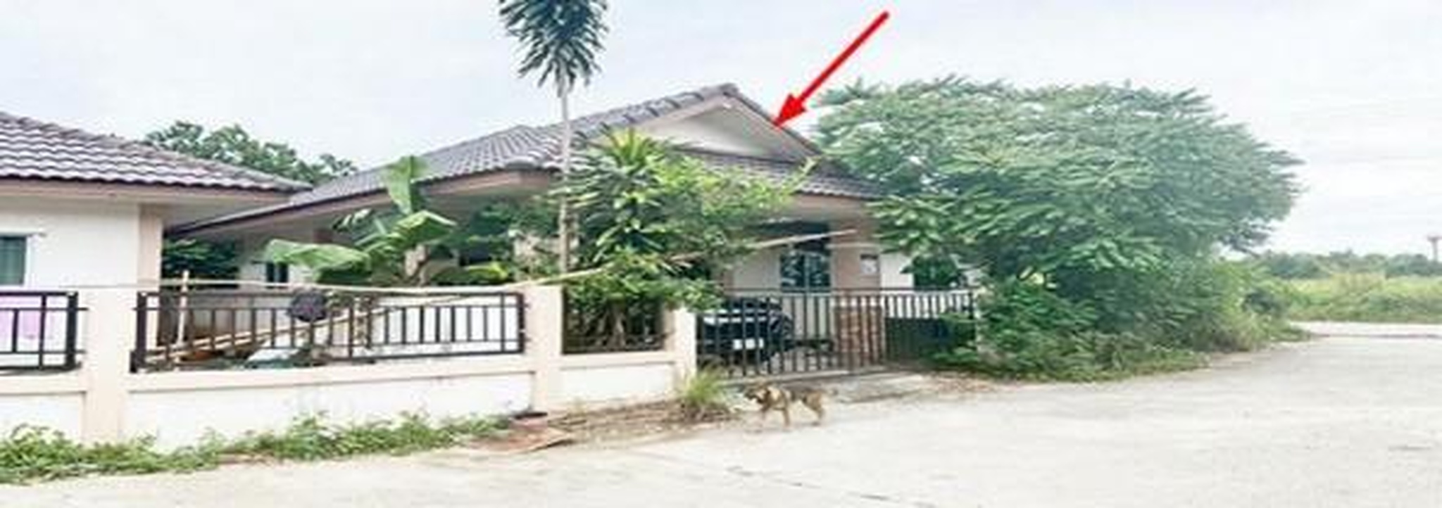 ทรัพย์สถาบันโดย GHB บ้านเดี่ยว ซอยป้าสอน ถนนรย.2026