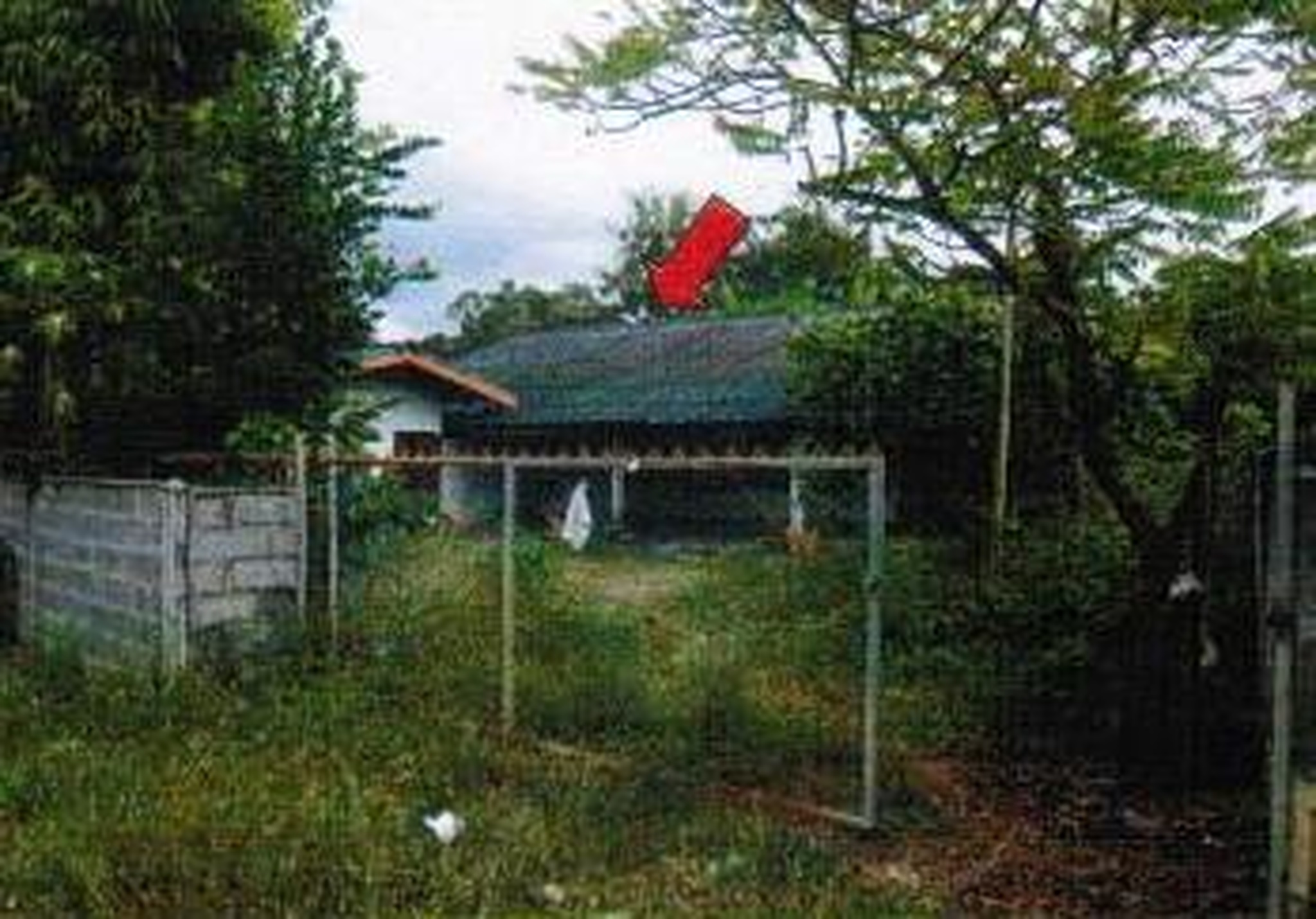 ทรัพย์สถาบันโดย อาคารสงเคราะห์ บ้านเดี่ยว หนองบัวเงิน