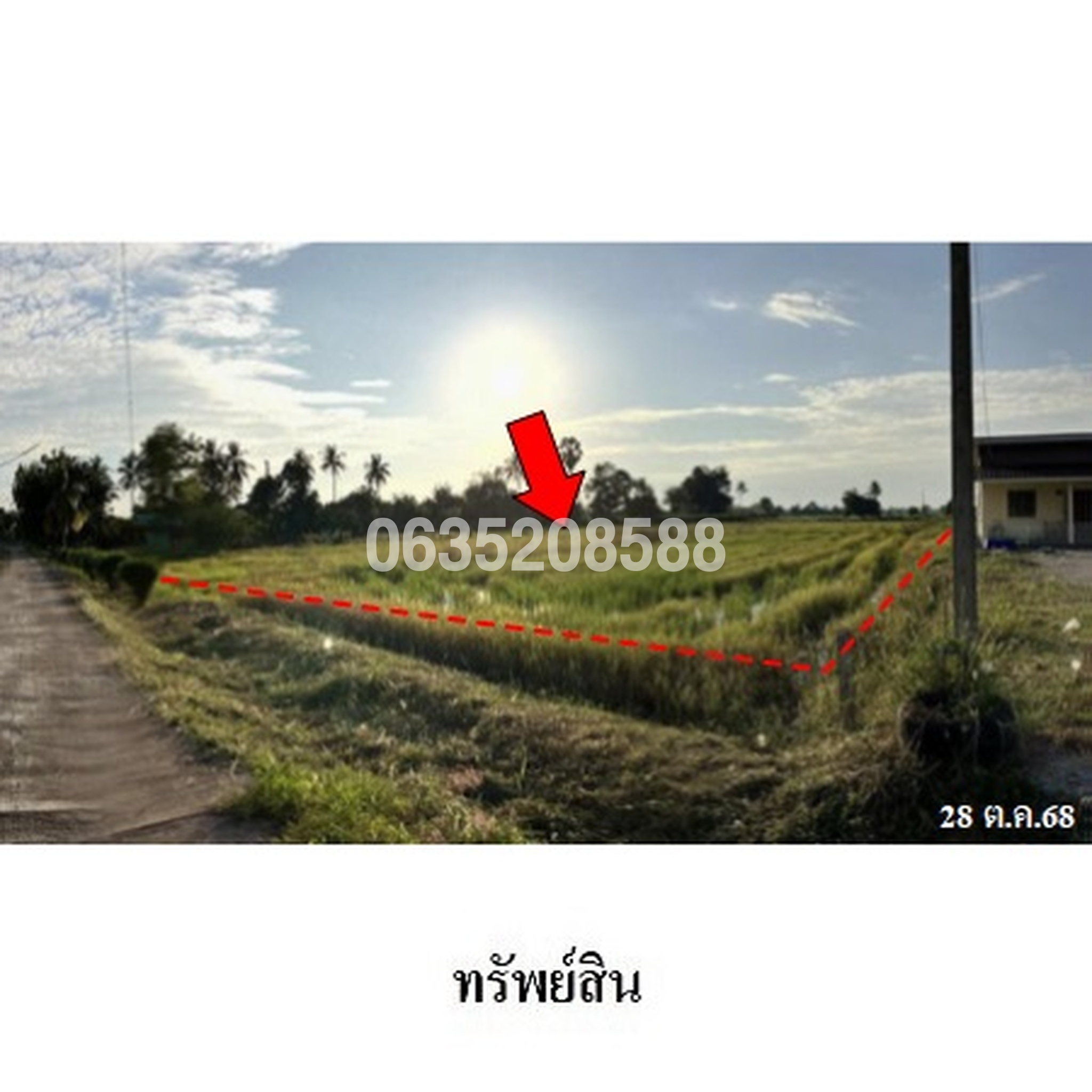 ขายที่ดิน ซอยเสียงทอง ถนนสายพิจิตร-พิษณุโลก (ทล.117)