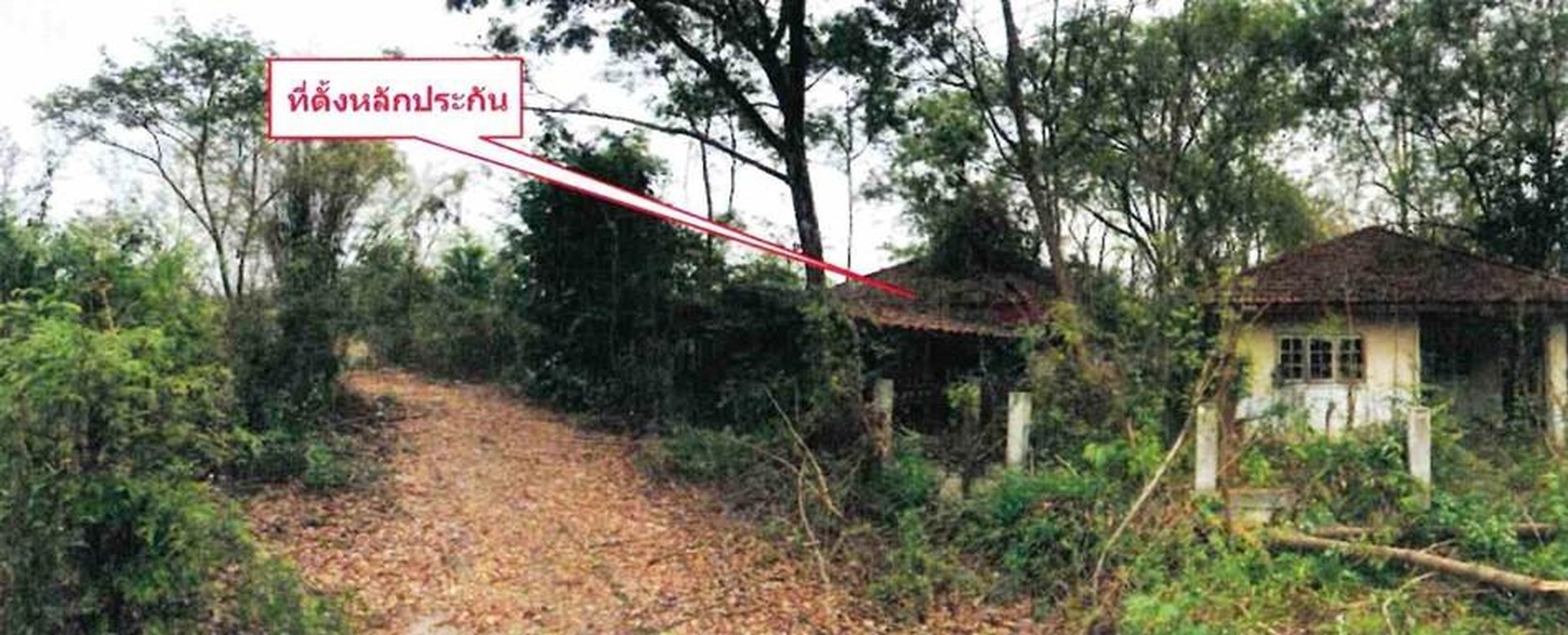 ทรัพย์สถาบันโดย อาคารสงเคราะห์ บ้านเดี่ยว พฤกษา พาร์ค วิลล์