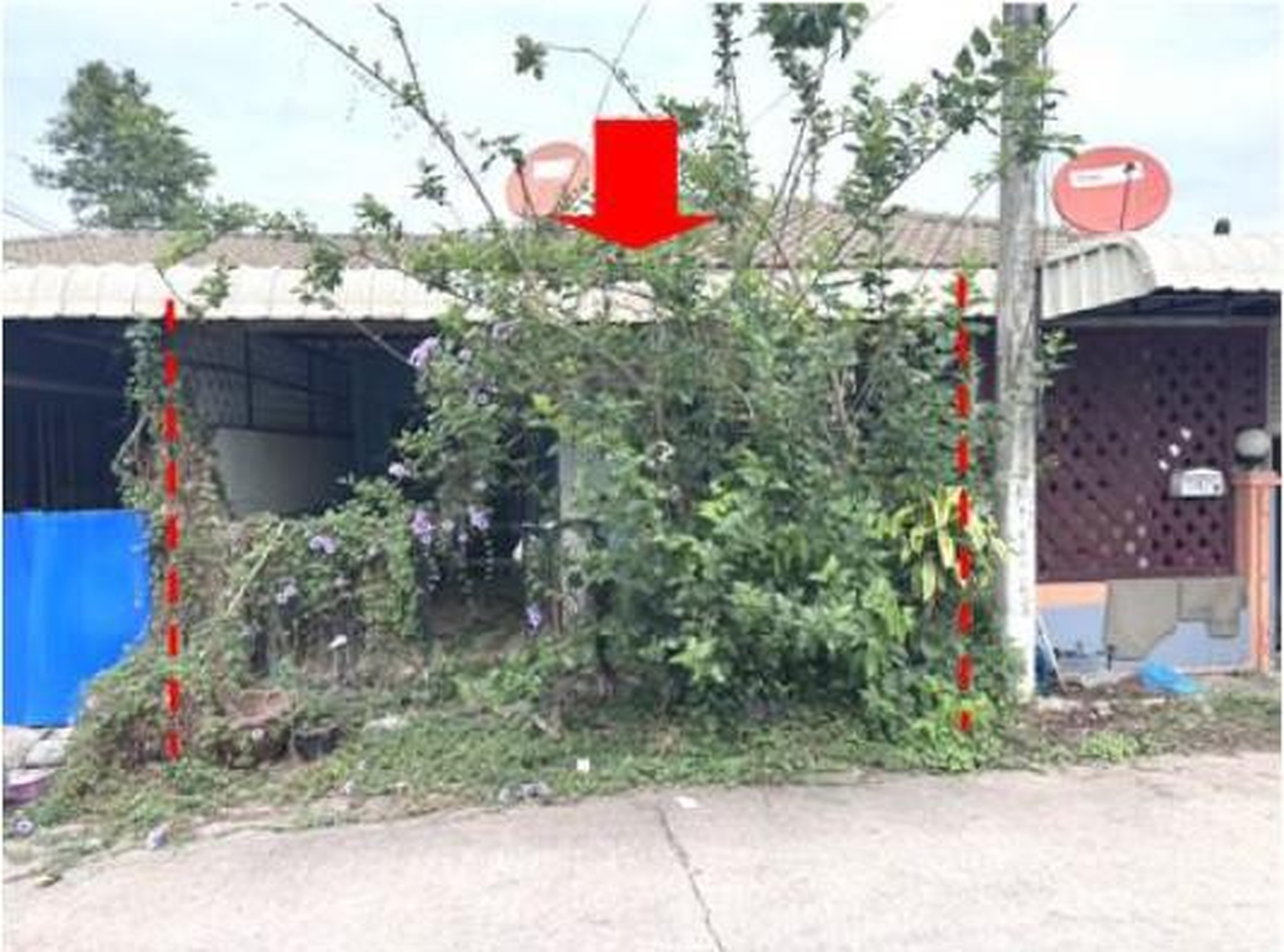 ทรัพย์สถาบันโดย GHB ทาวน์เฮาส์ ปราณทองวิลเลจ (Pranthong Village)