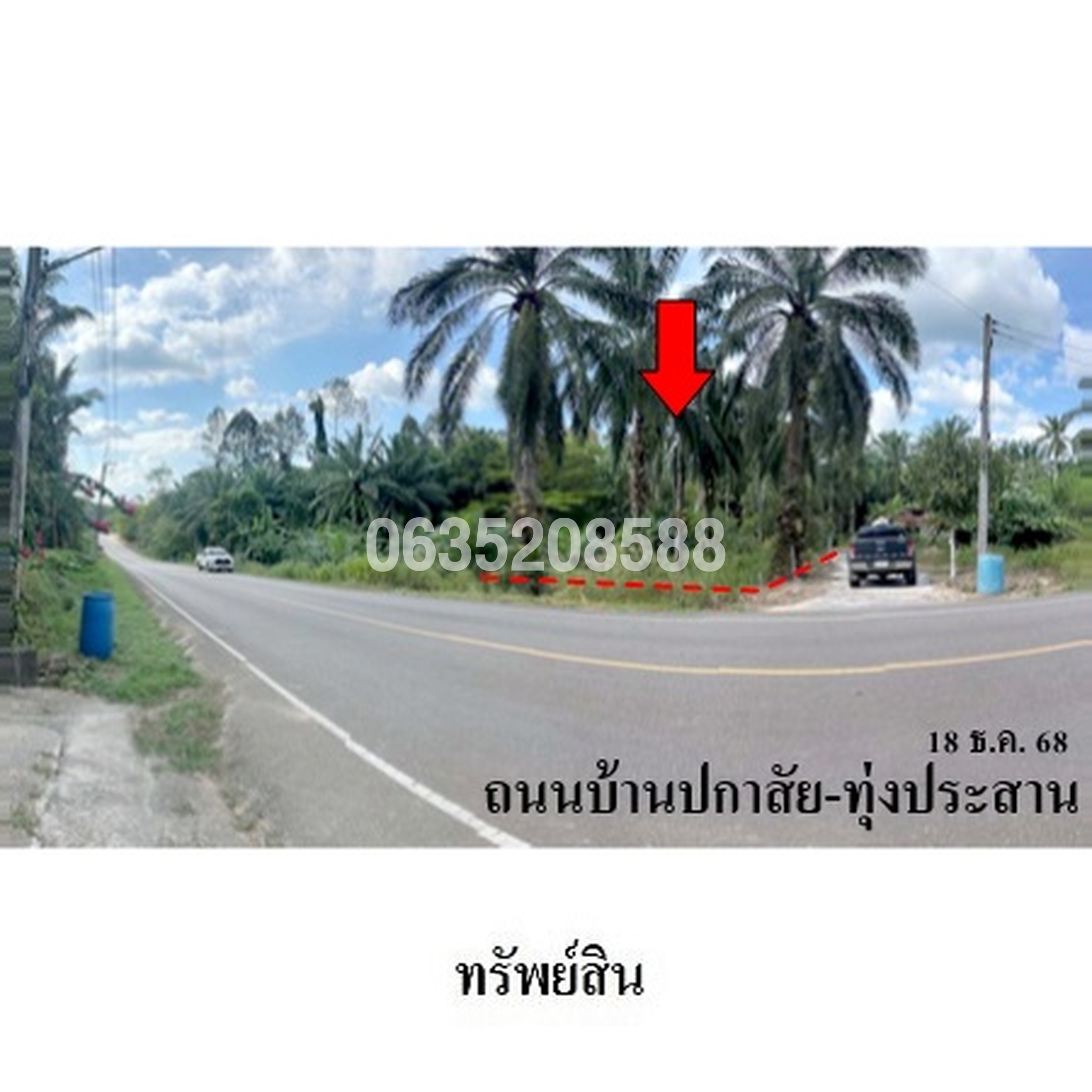 ขายที่ดิน ถนนบ้านปกาสัย-ทุ่งประสาน