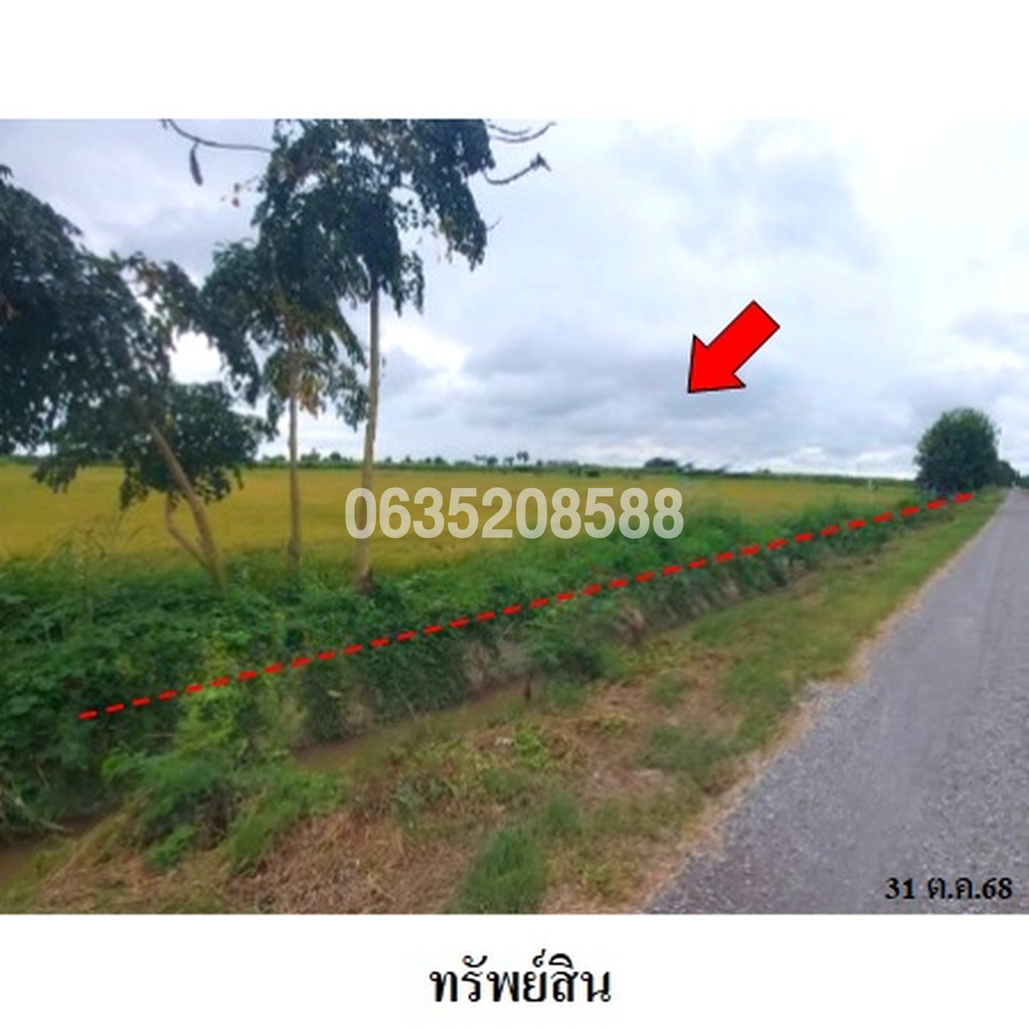 ขายที่ดิน ถนนเลียบคลองชลประทาน