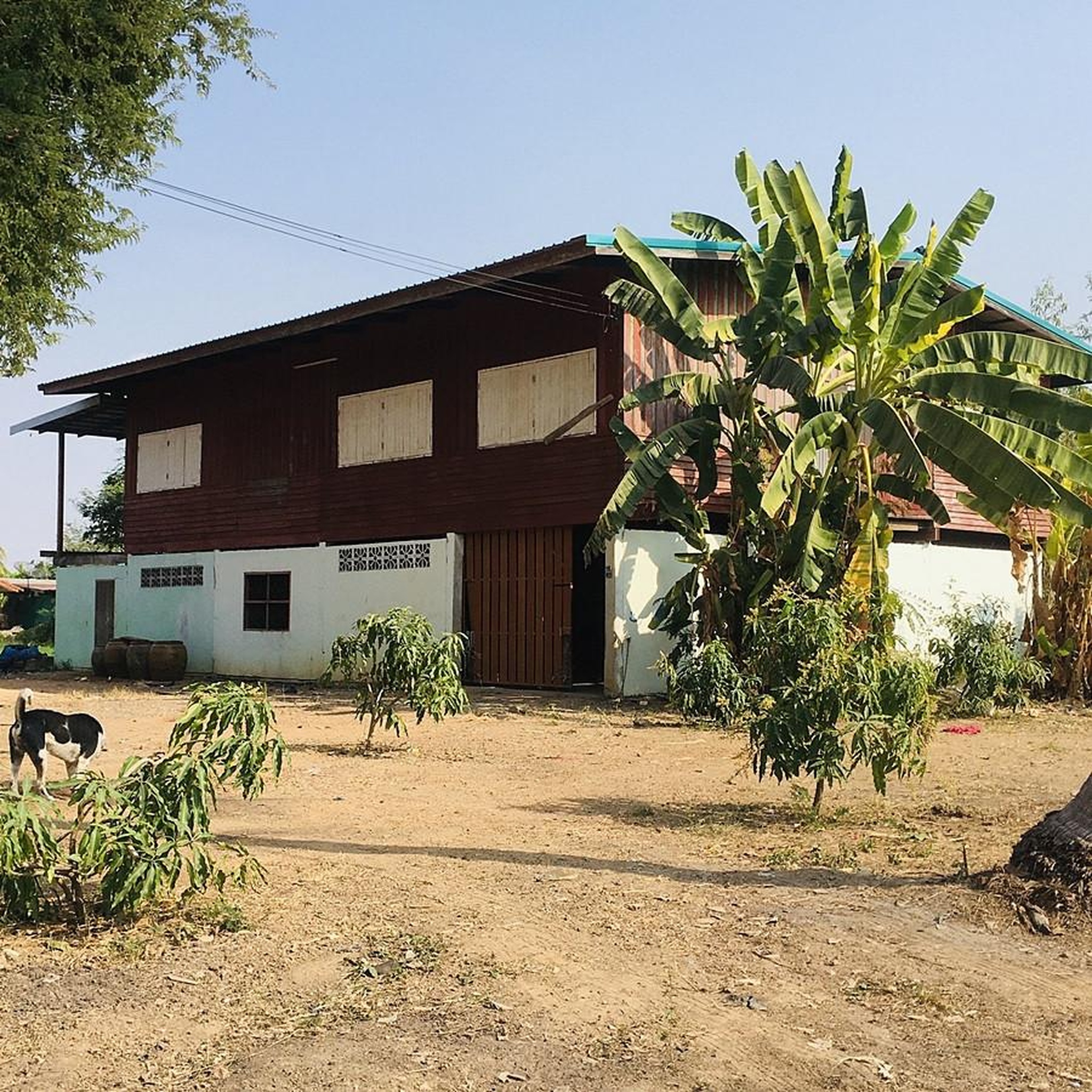 ทรัพย์สถาบันโดย GHB บ้านเดี่ยว วังทรายพูน พิจิตร