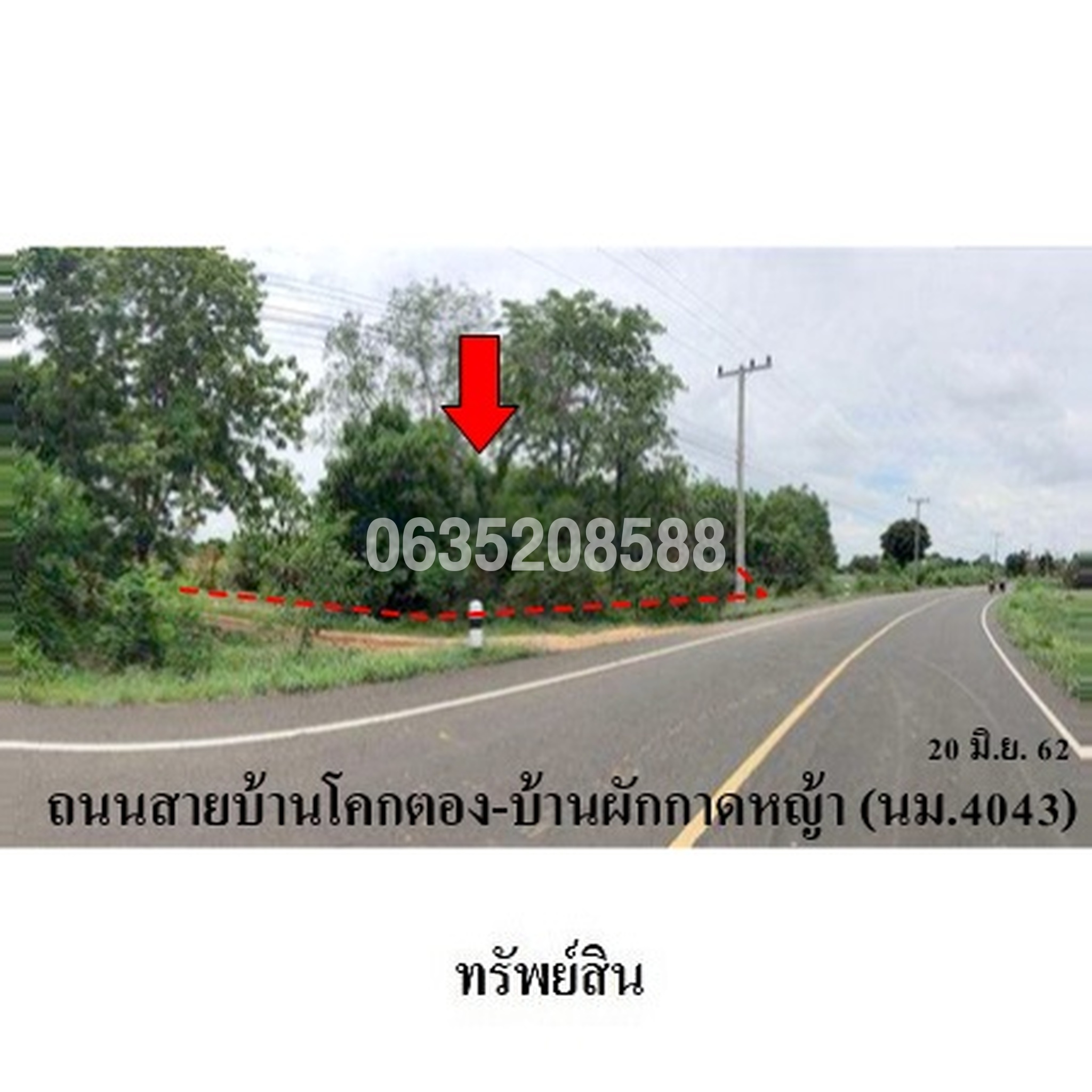 ขายที่ดิน ถนนบ้านโคกตอง-บ้านผักกาดหญ้า (นม.4043)