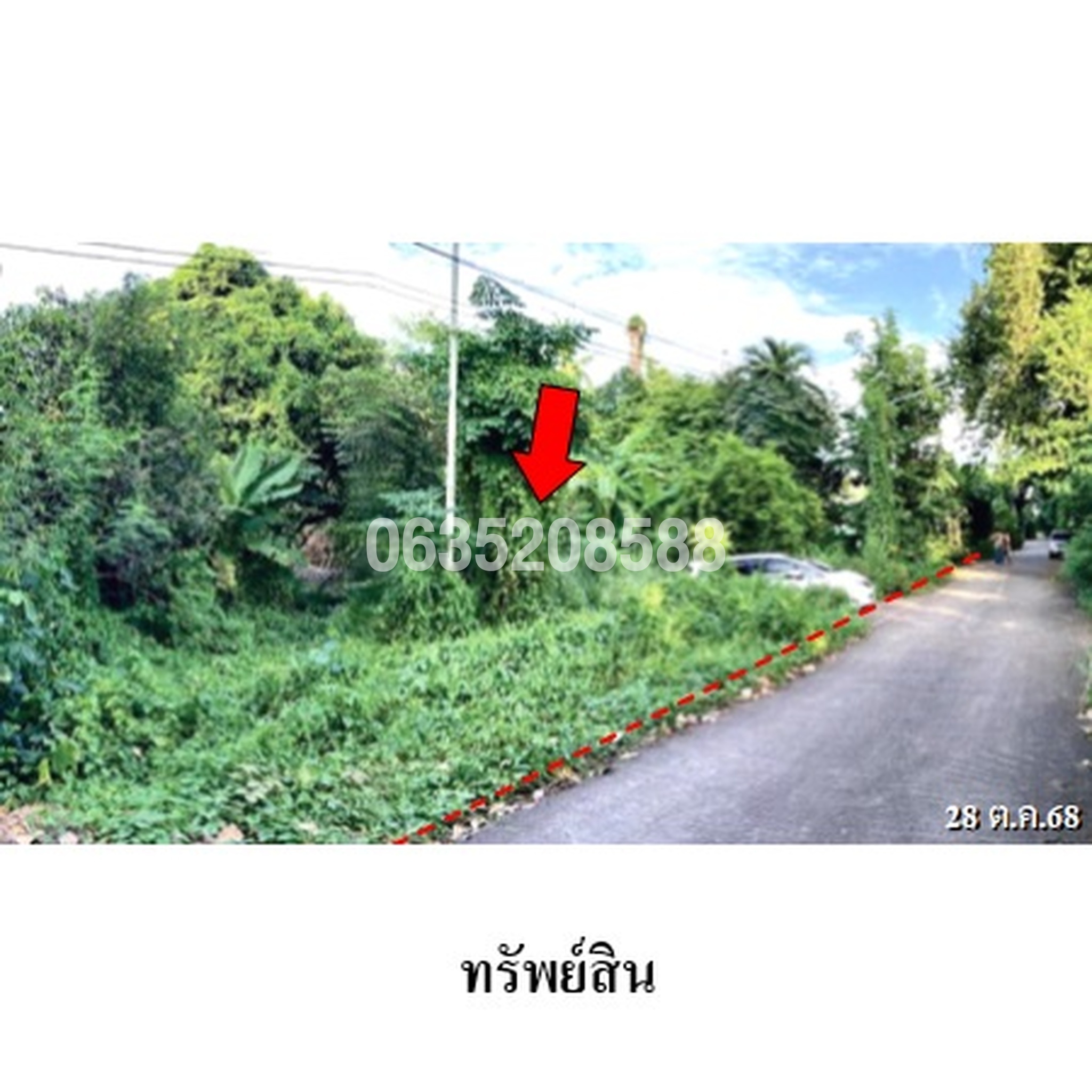 ขายที่ดิน ถนนพิษณุโลก-บางกระทุ่ม(ทล.1063)