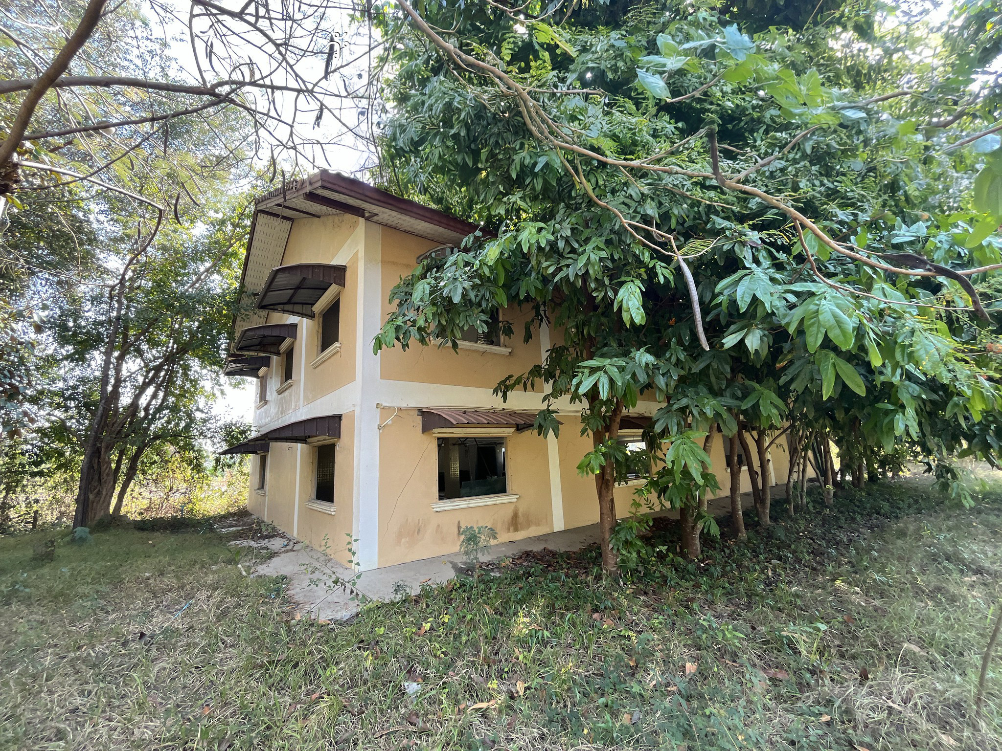 ทรัพย์สถาบันโดย JAM บ้านเดี่ยว บ้านเวียงพิงค์วิลล่า (Baan Wieng Ping Villa)