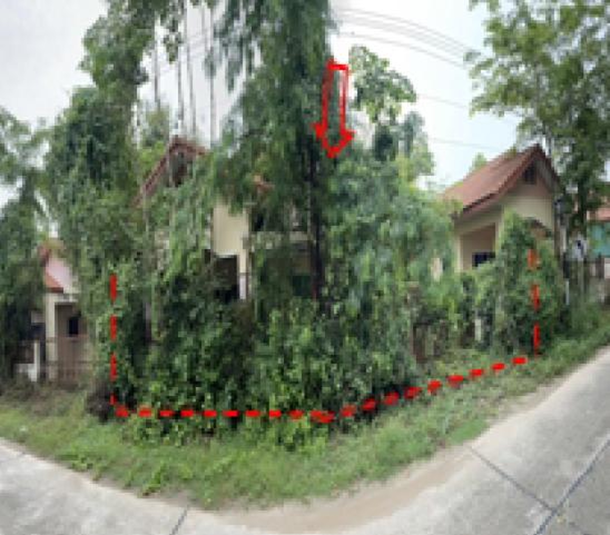 ทรัพย์สถาบันโดย GHB บ้านเดี่ยว กองเงิน 2