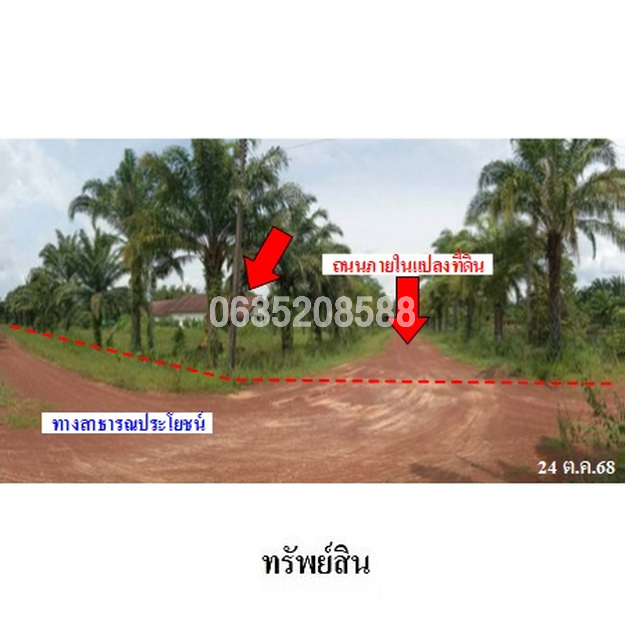 ขายบ้านเดี่ยว ถนนสายบ้านโพนสมุทรชัย-บ้านนาดูน