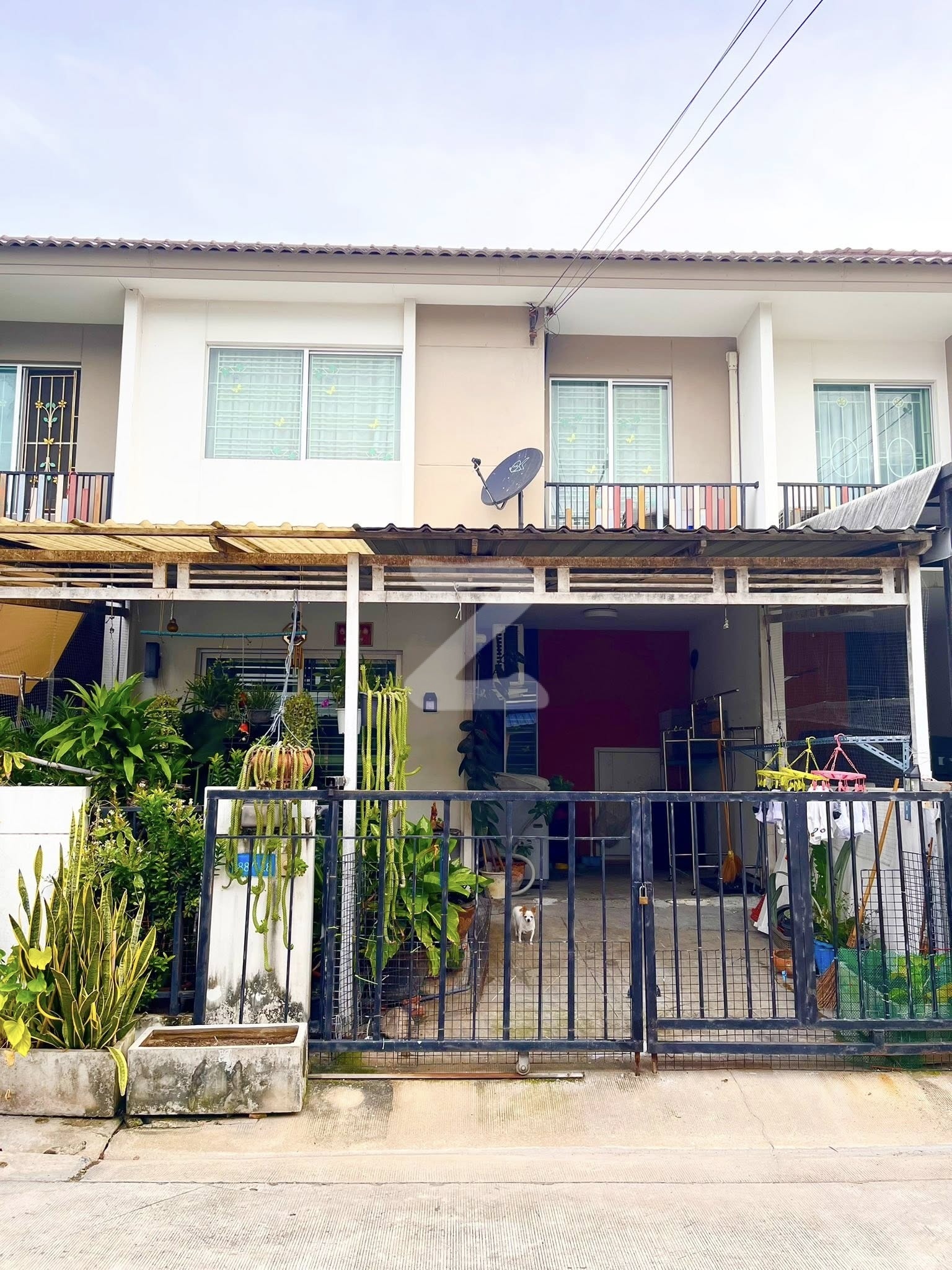 บ้านพฤกษา 104     บ้านเจ้าของขายเอง สนใจติดต่อ                    : เจ้าของขายเอง (งดรับนายหน้า)