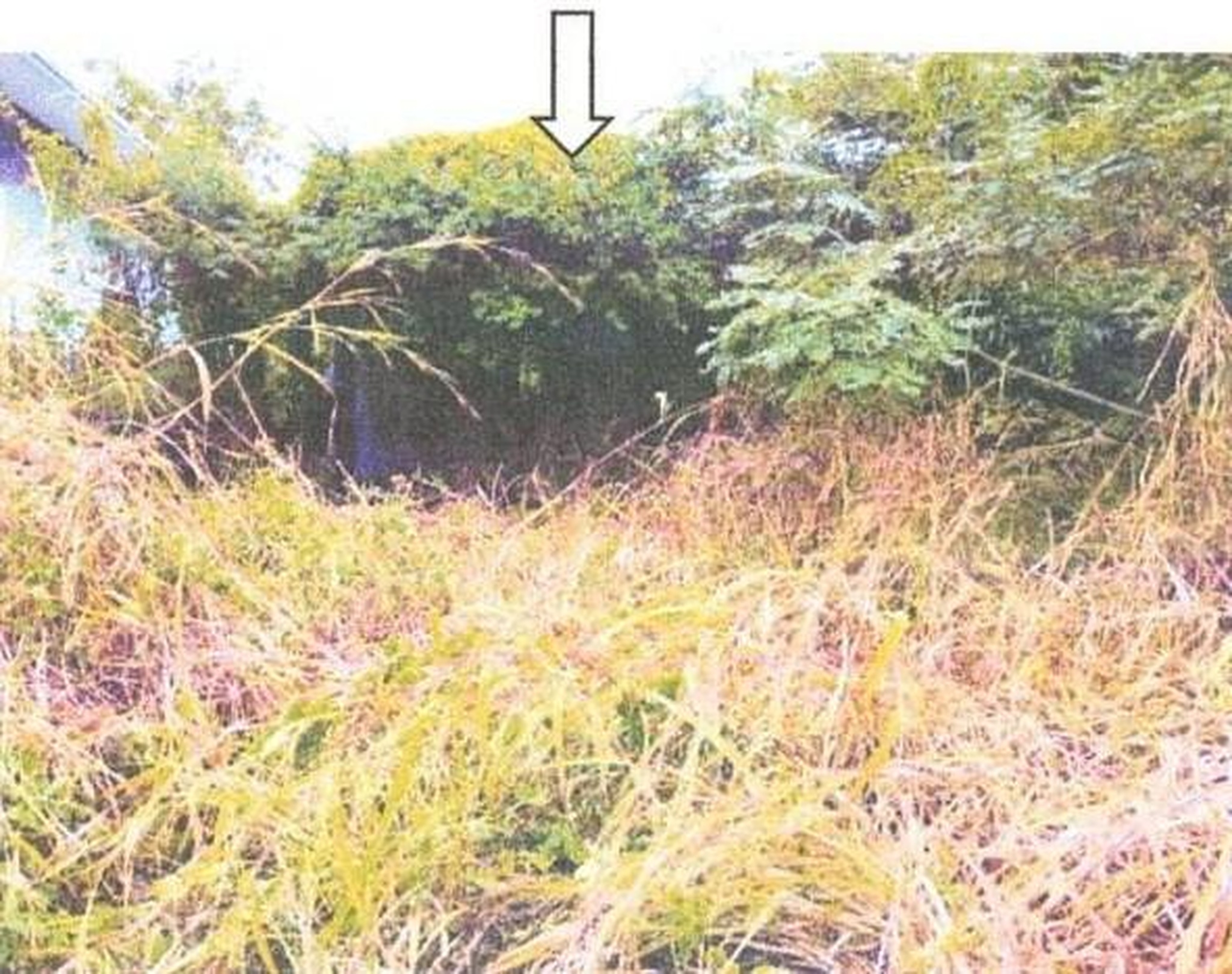 ทรัพย์สถาบันโดย GHB บ้านเดี่ยว ซอยม.เทพนิมิตรวิลเลจ 1 ถนนสายซับสมอทอด - บึงสา