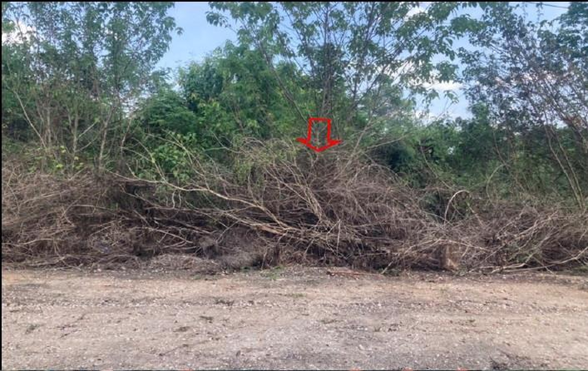 ทรัพย์สถาบันโดย GHB ที่ดิน แก่งหลวงคันทรีมารีน่า