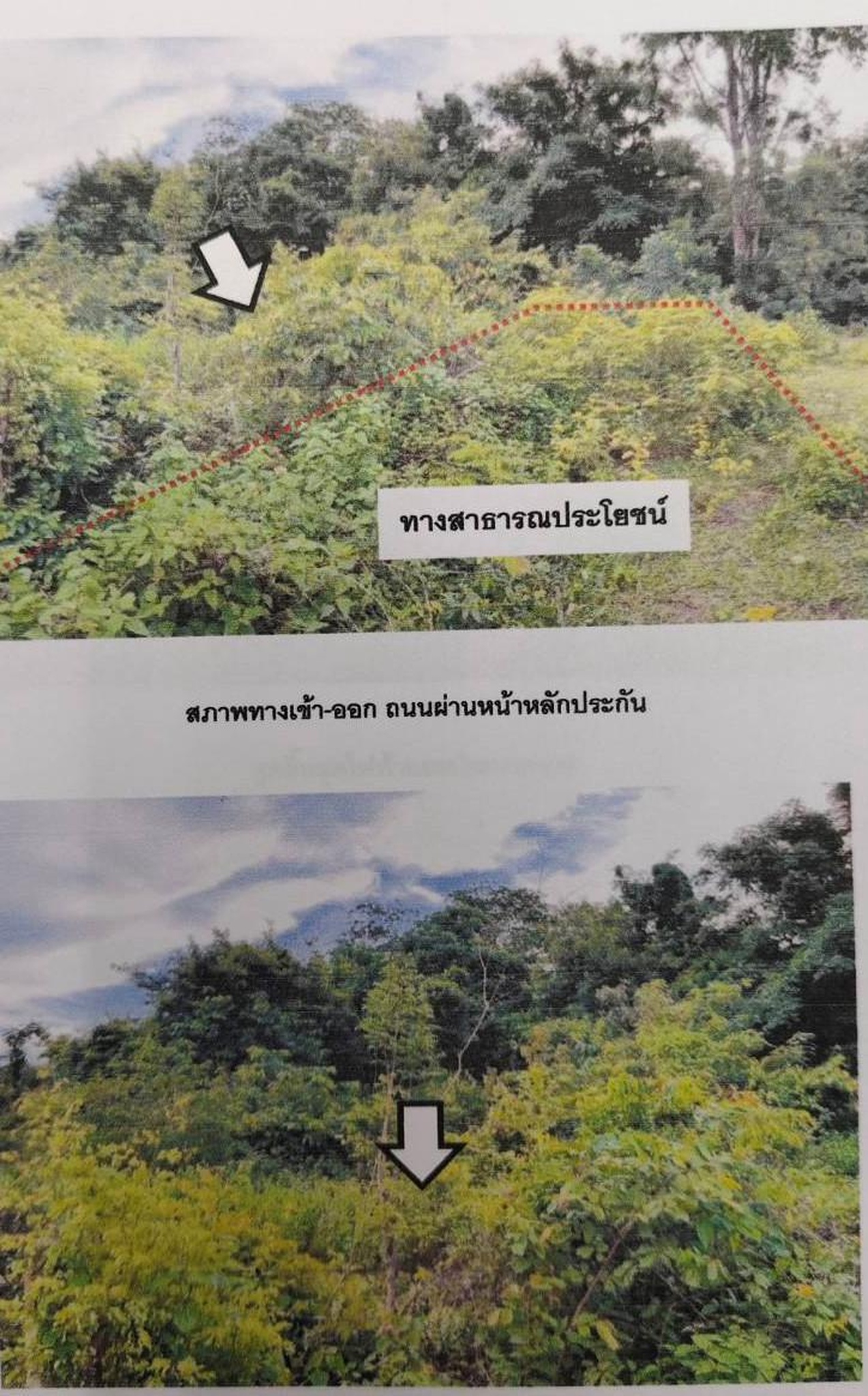 ทรัพย์สถาบันโดย GHB ที่ดิน ซอยถ.ประชารัฐ ถนนโชคชัย-เดชอุดม