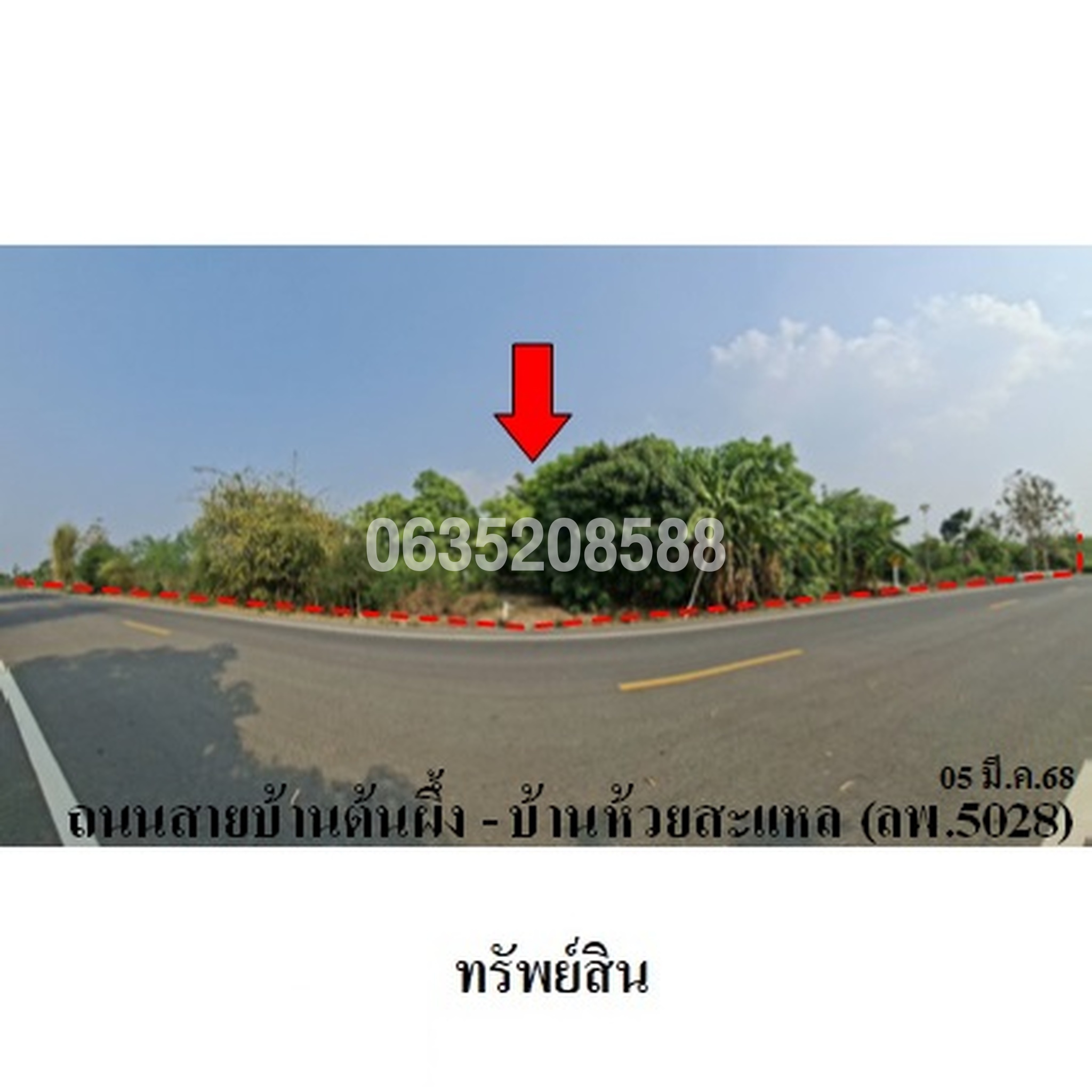 ขายที่ดิน ถนนสายบ้านต้นผึ้ง-บ้านห้วยสะแหล (ลพ.5028)