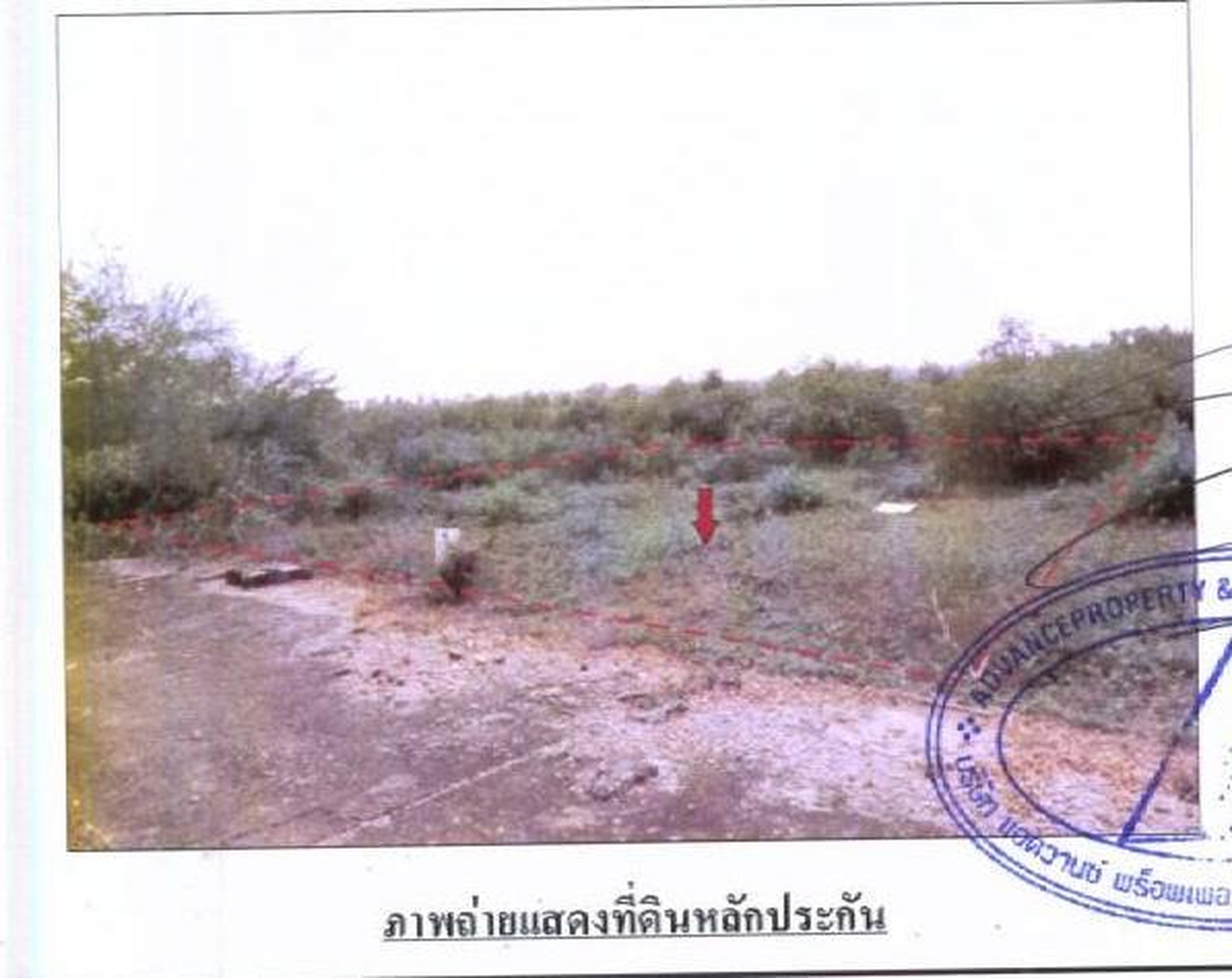 ทรัพย์สถาบันโดย GHB ที่ดิน คุ้มทอง 1