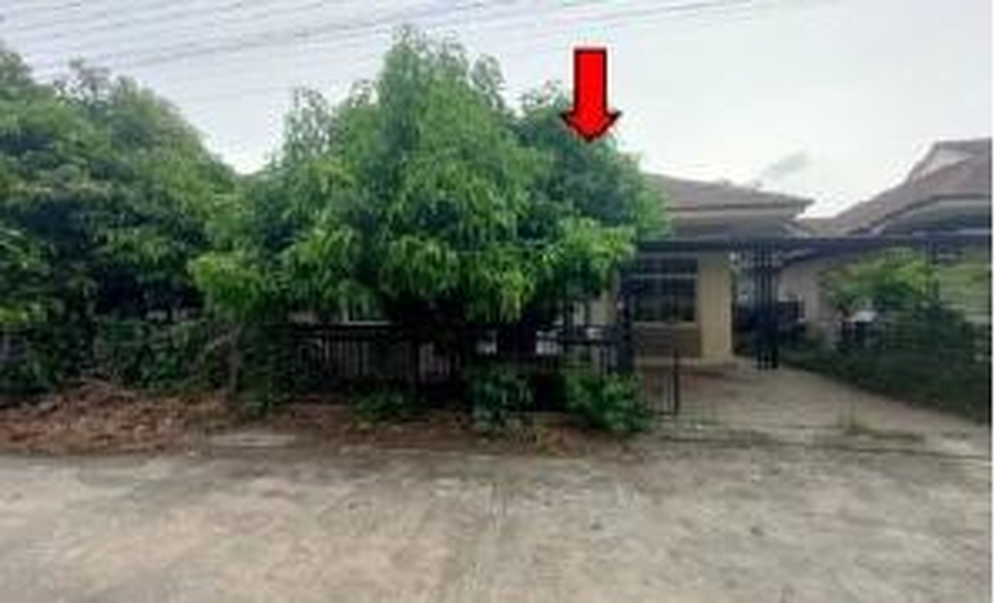 ทรัพย์สถาบันโดย GHB บ้านเดี่ยว ปาลิกา กรีน วิลล์ (Palika Modern Town)