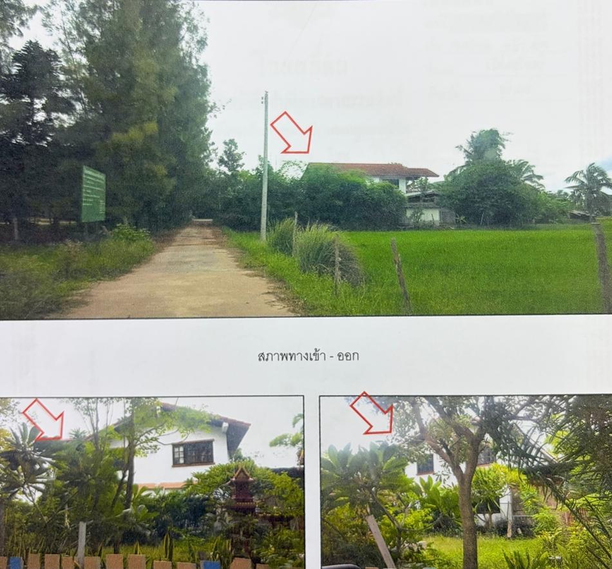 ทรัพย์สถาบันโดย GHB บ้านเดี่ยว บ้านปรีง
