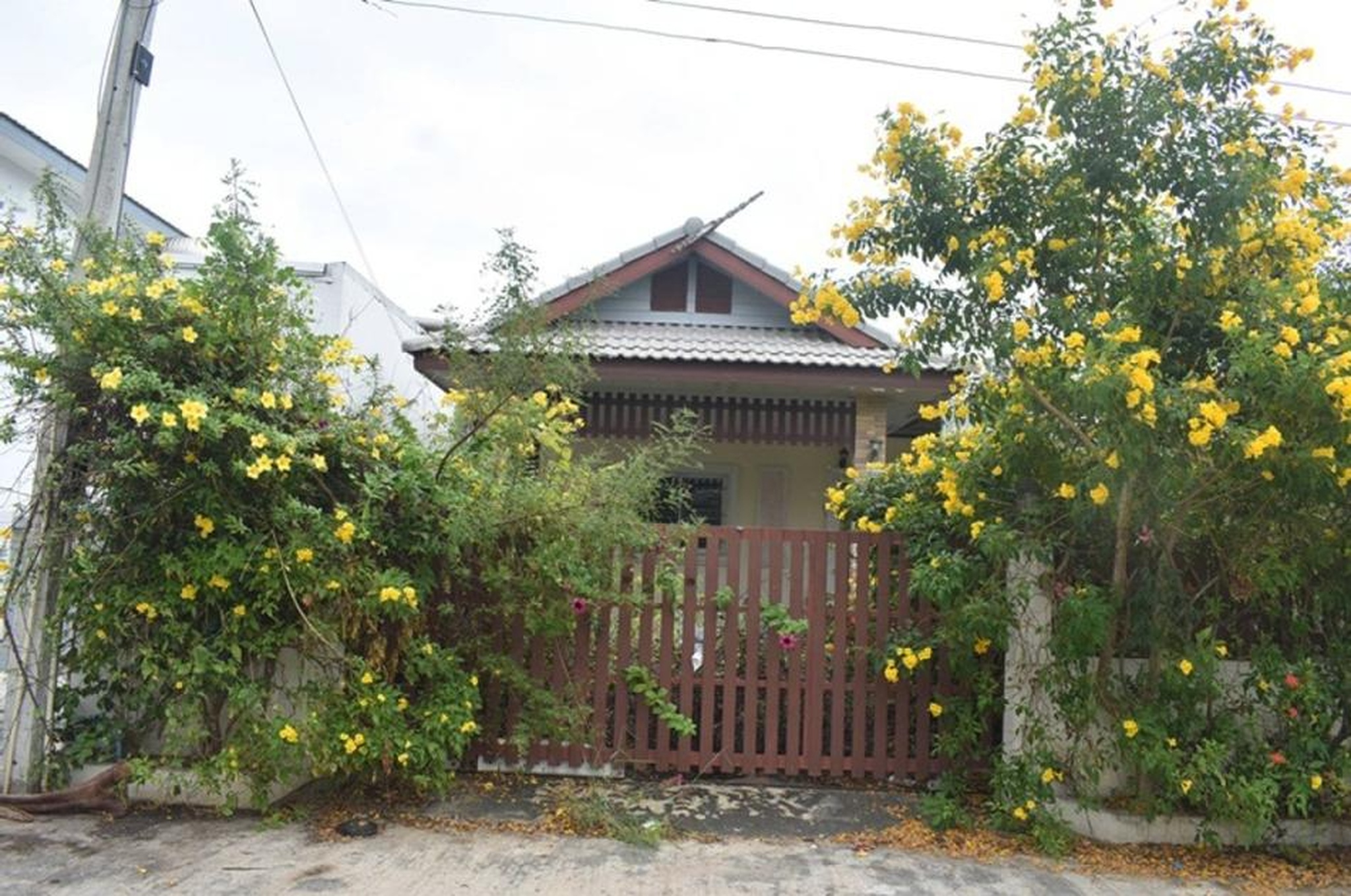 ทรัพย์สถาบันโดย GHB บ้านเดี่ยว โกลเด้นฟิลส์ (Golden Field)