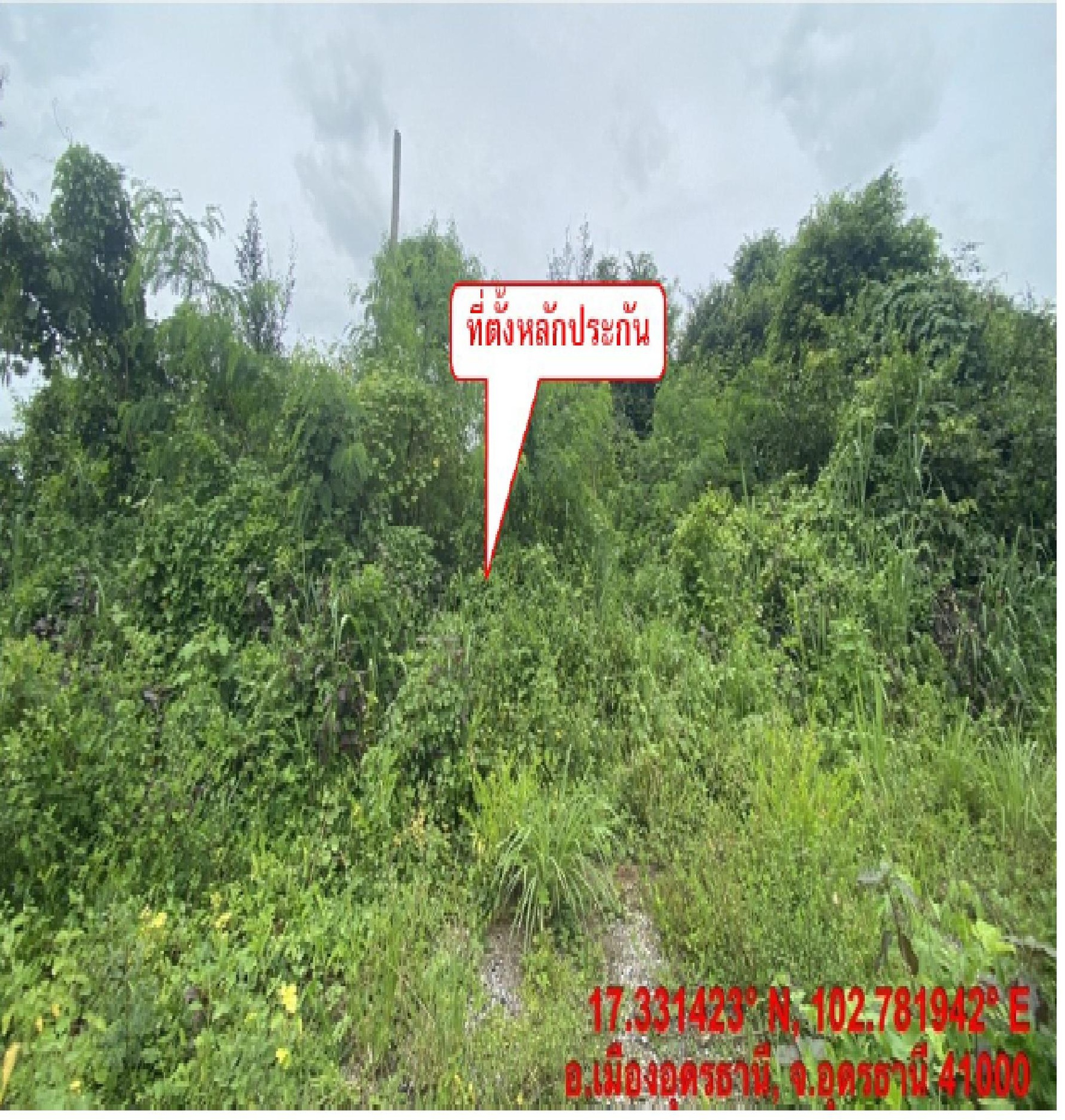 ทรัพย์สถาบันโดย GHB ที่ดิน บัวเหลี่ยมเพชร