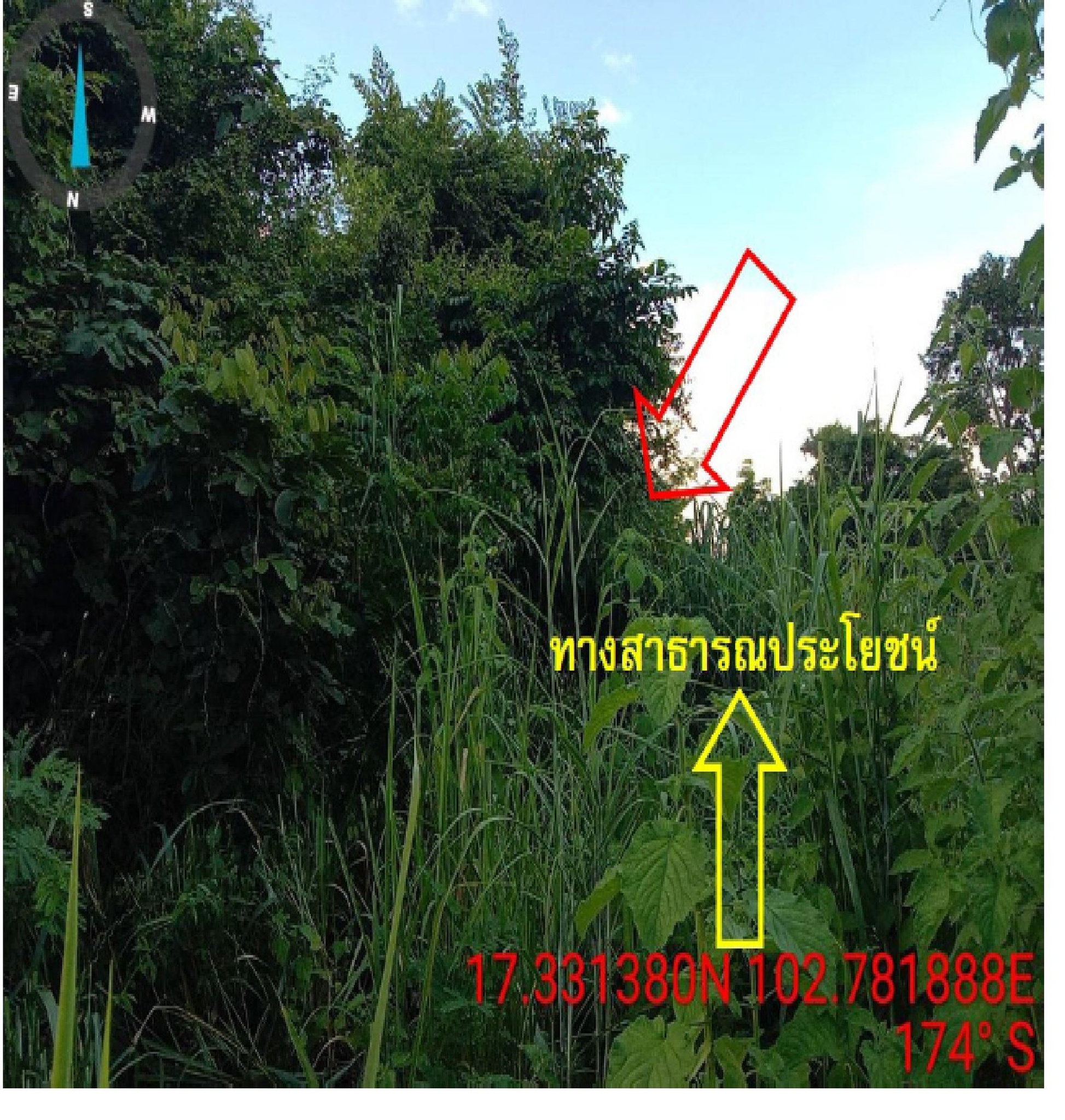ทรัพย์สถาบันโดย GHB ที่ดิน บัวเหลี่ยมเพชร