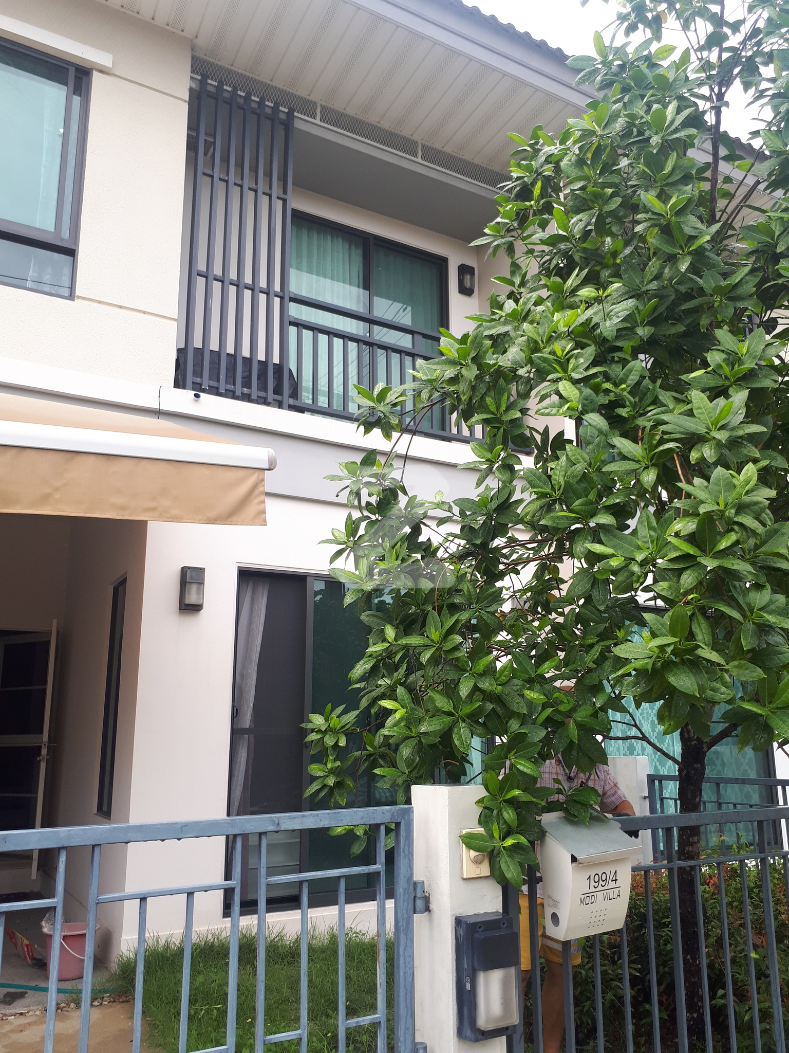 🏡ขายด่วน! ขายทาวน์โฮม โมดิ วิลล่า ชัยพฤกษ์ (Modi Villa) แปลงสวยหน้าบ้านติดสวน หันหน้าทิศเหนือร่มรื่น แถมเฟอร์ฯ พร้อมอยู่ : เจ้าของขายเอง (งดรับนายหน้า)
