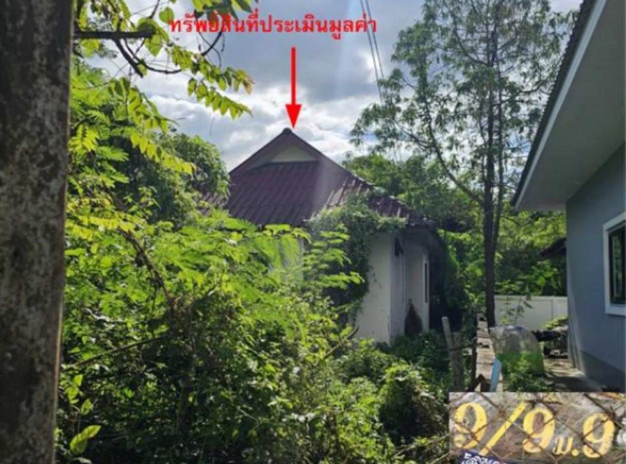 ทรัพย์สถาบันโดย GHB บ้านเดี่ยว โพลี่แลนด์