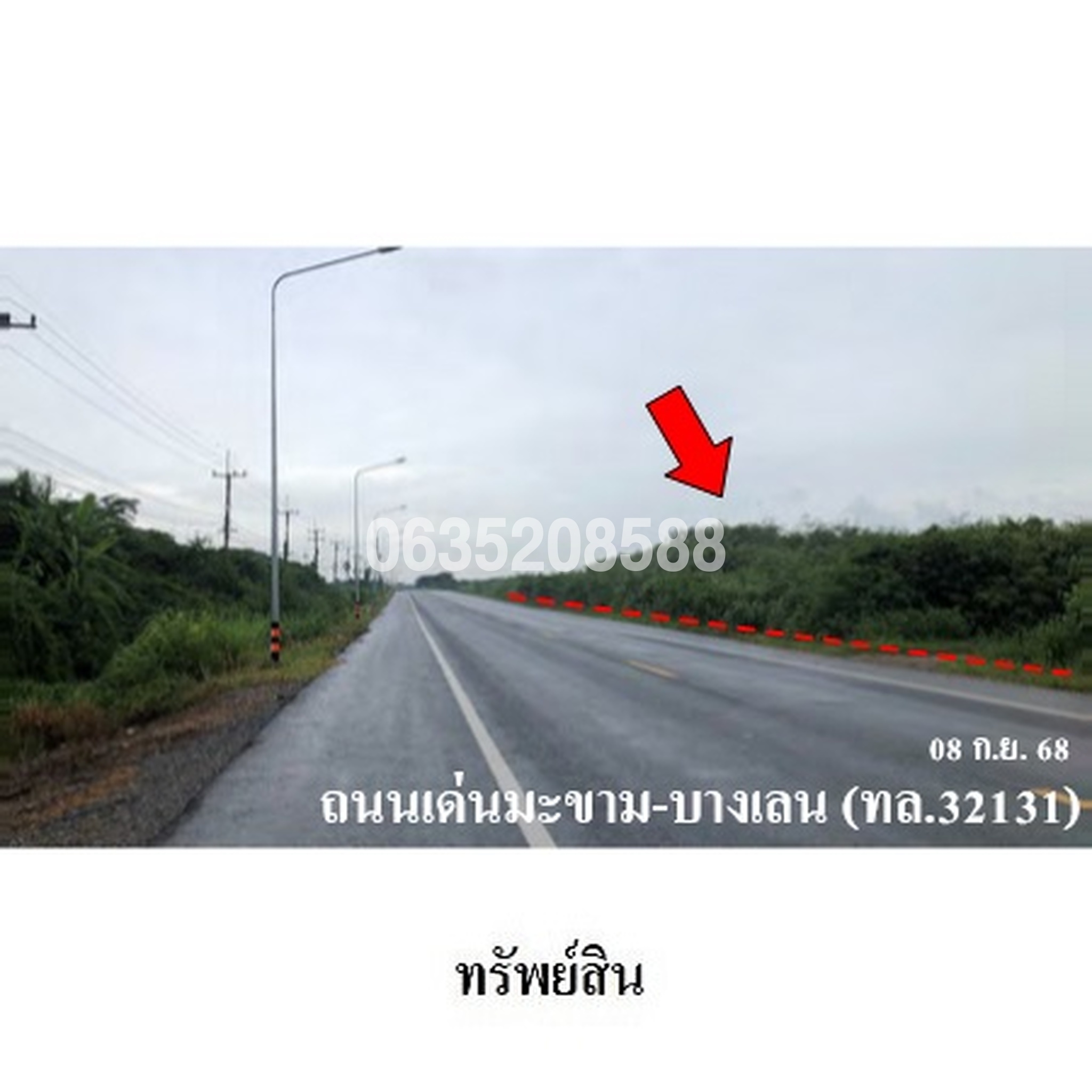 ขายที่ดิน ถนนเด่นมะขาม-บางเลน(ทล.3231)