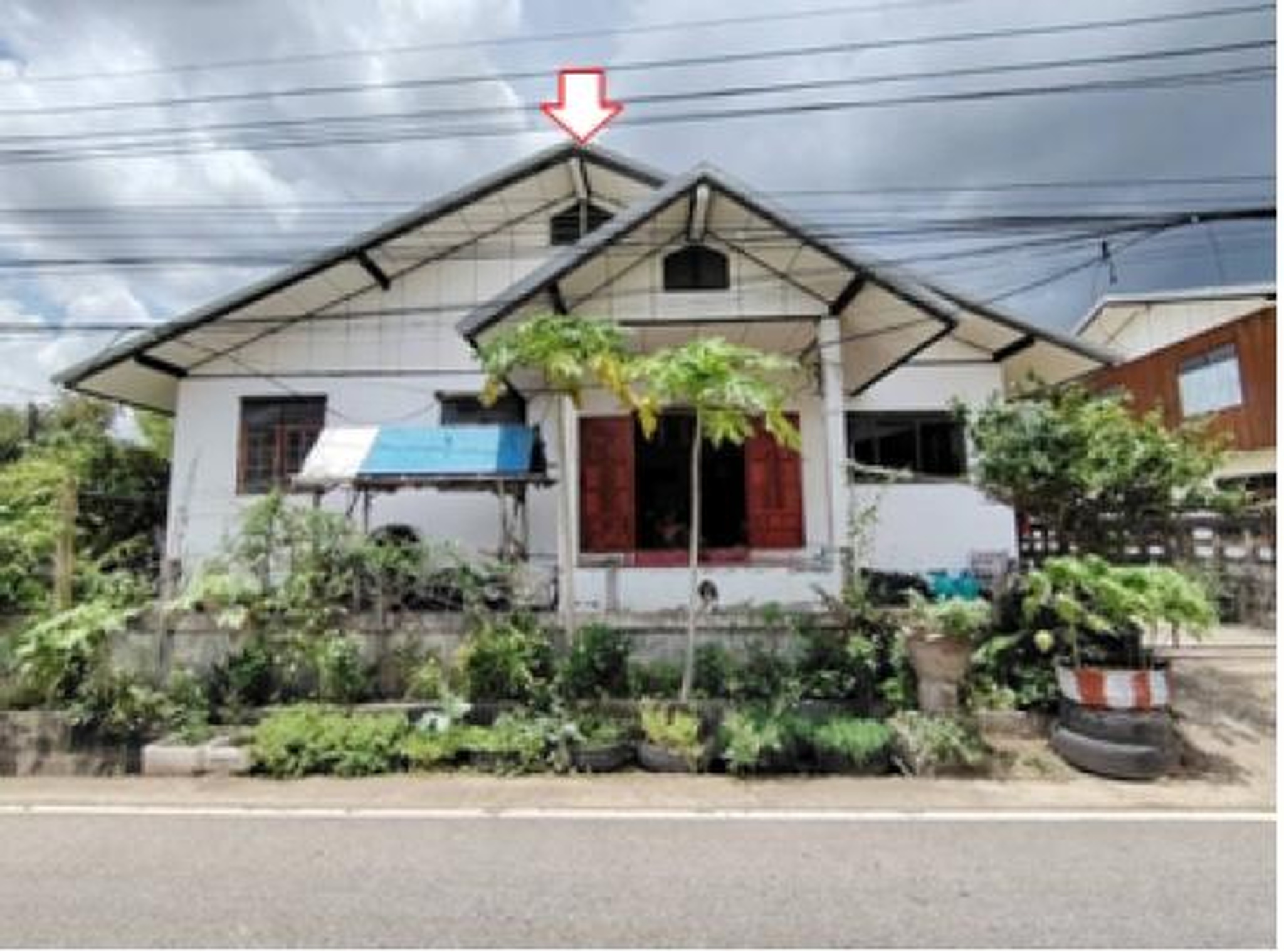 ทรัพย์สถาบันโดย GHB บ้านเดี่ยว ซอยสายโรงแป้งมันบางนา-บ ถนนถีนานนท์(213)