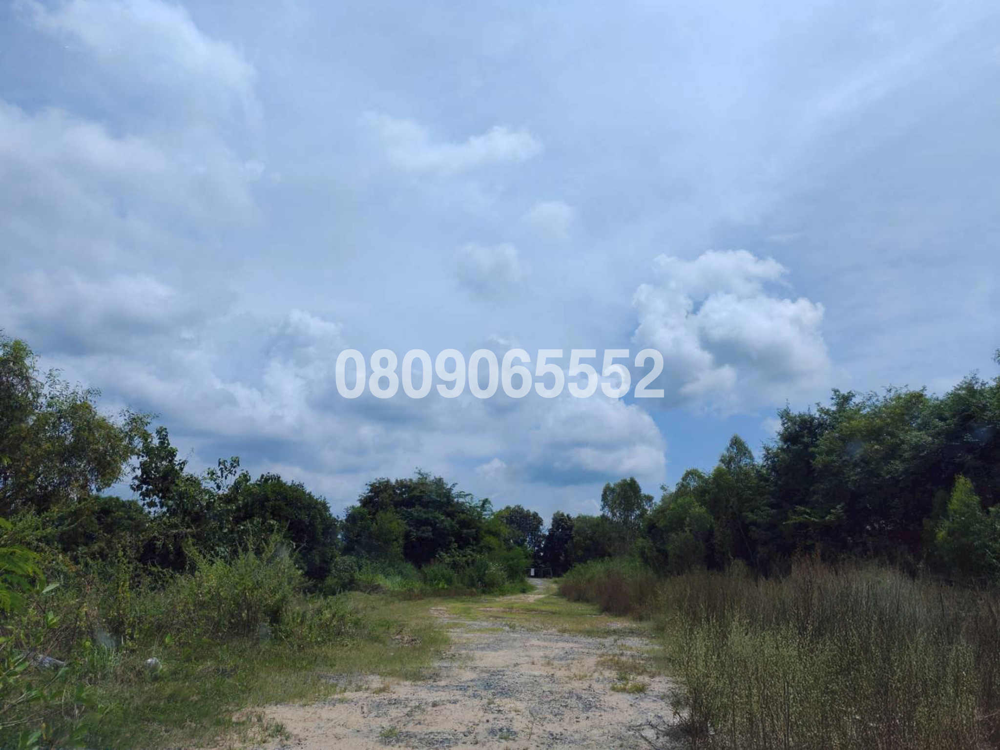 ขายที่ดิน นอกโครงการมหาสารคาม