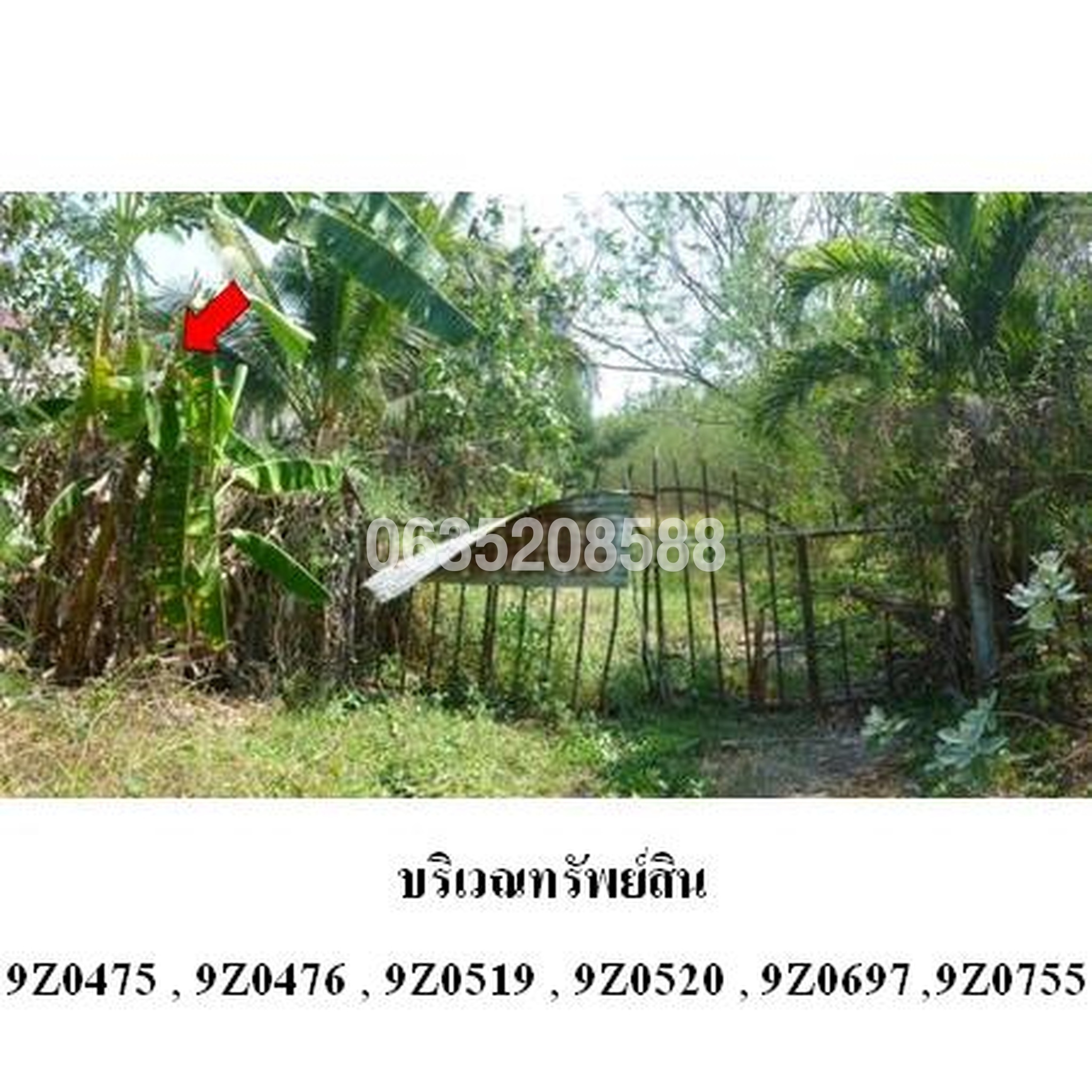 ขายที่ดิน บุญส่งพัฒนา (Bunsong Phatthana)