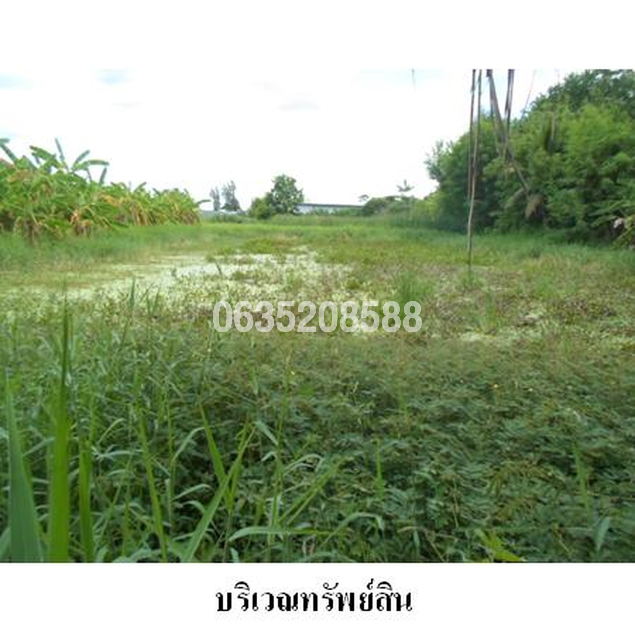 ขายที่ดิน บุญส่งพัฒนา (Bunsong Phatthana)