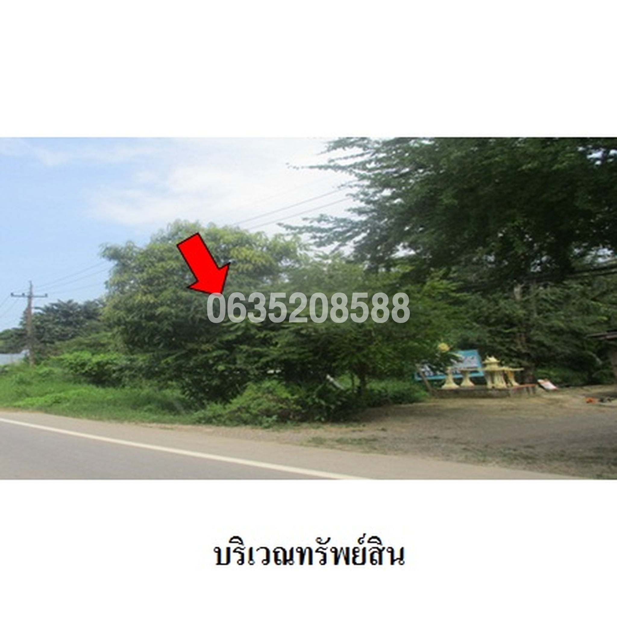 ขายที่ดิน ถนนสายท่าหล่อ-หนองระแวง (ปข.4007)