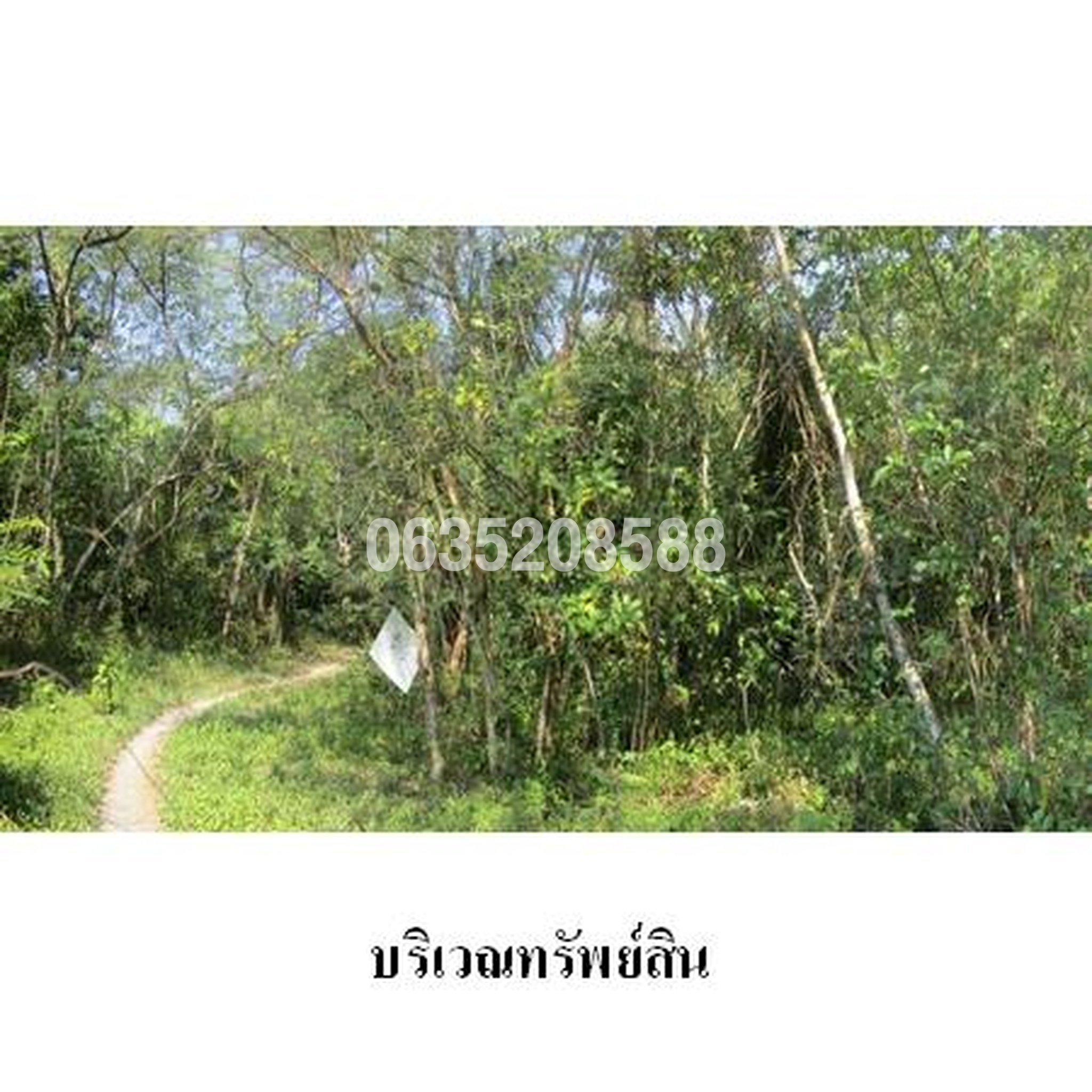 ขายที่ดิน ถนนสายบ้านเปิก