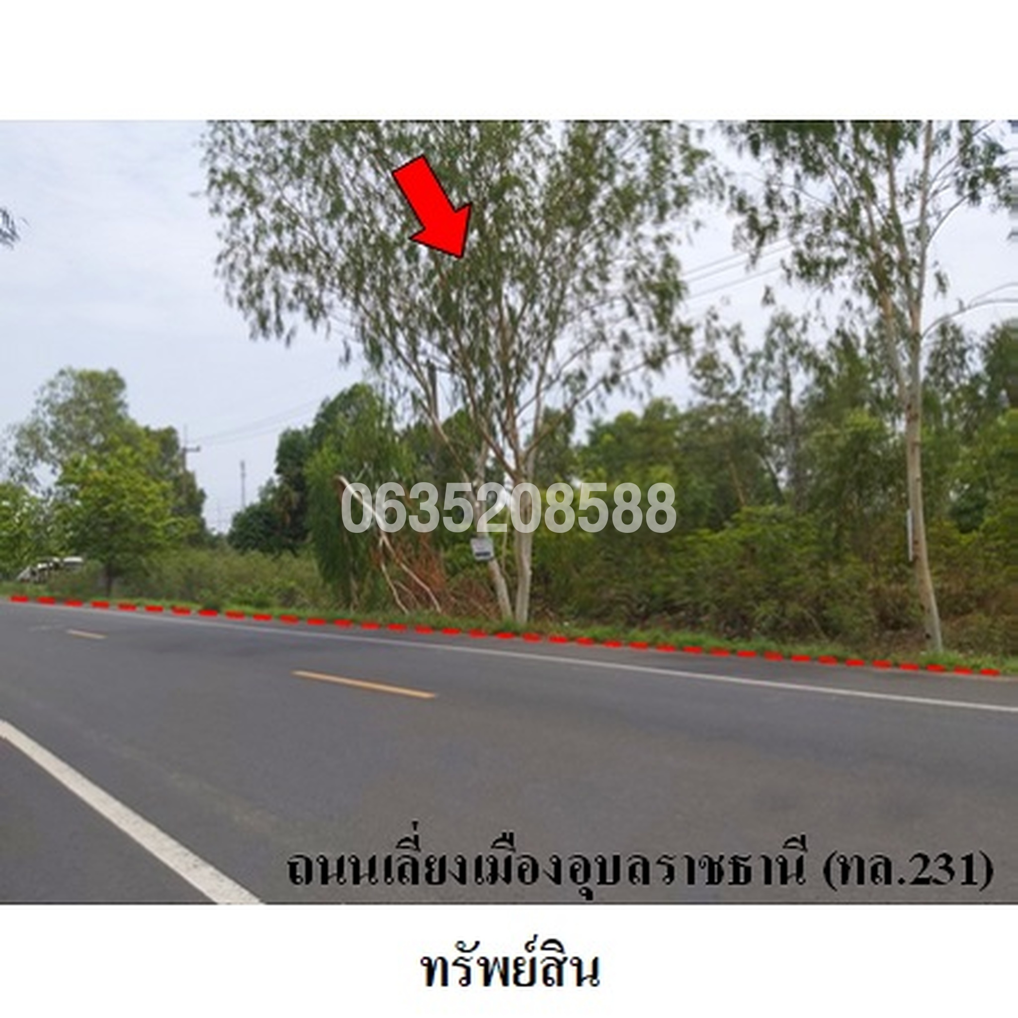 ขายที่ดิน ถนนเลี่ยงเมืองอุบลราชธานี (ทล.231)