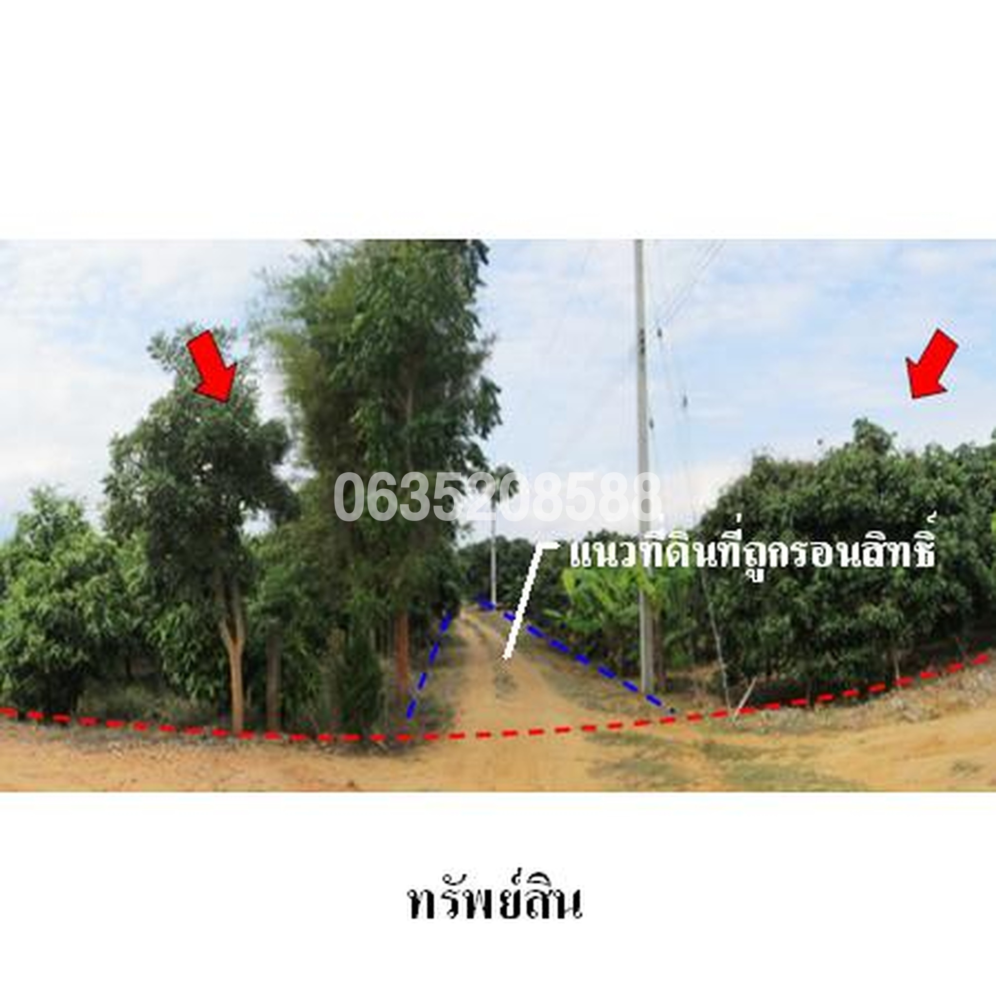 ขายที่ดิน ถนนสายศรีเตี้ย-หนองเขียด (ลพ.407)