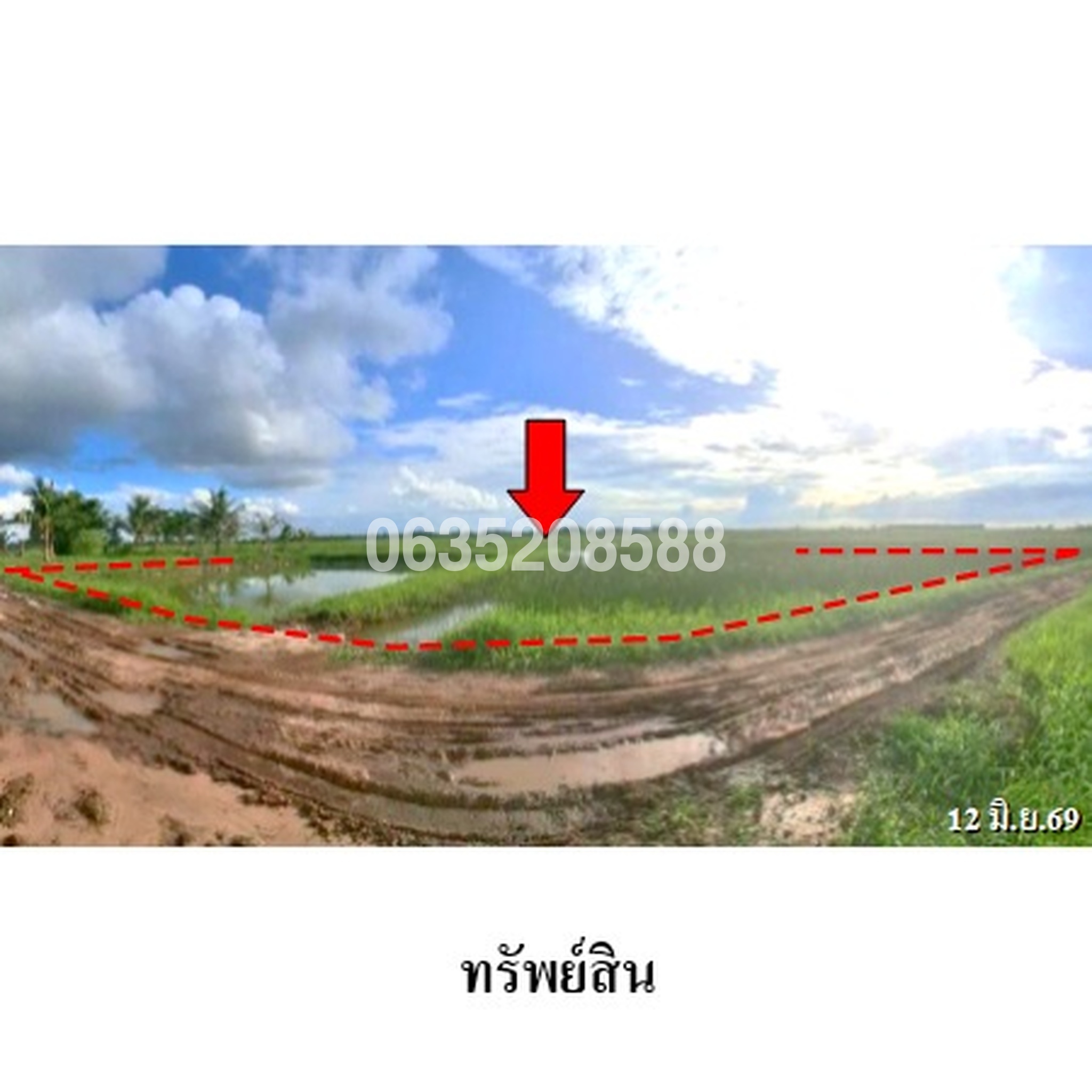ขายที่ดิน ถนนสายบ้านม่วง-บ้านคอนสาย