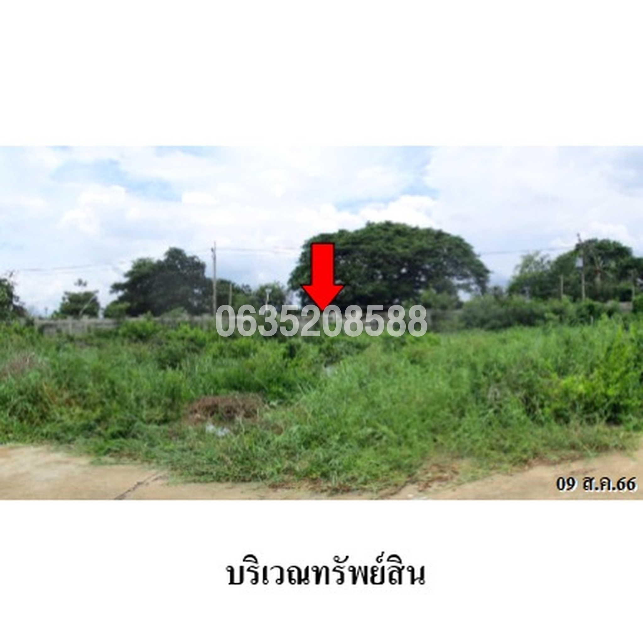 ขายที่ดิน อักษรา (Baan Aksara Bangbuathong)
