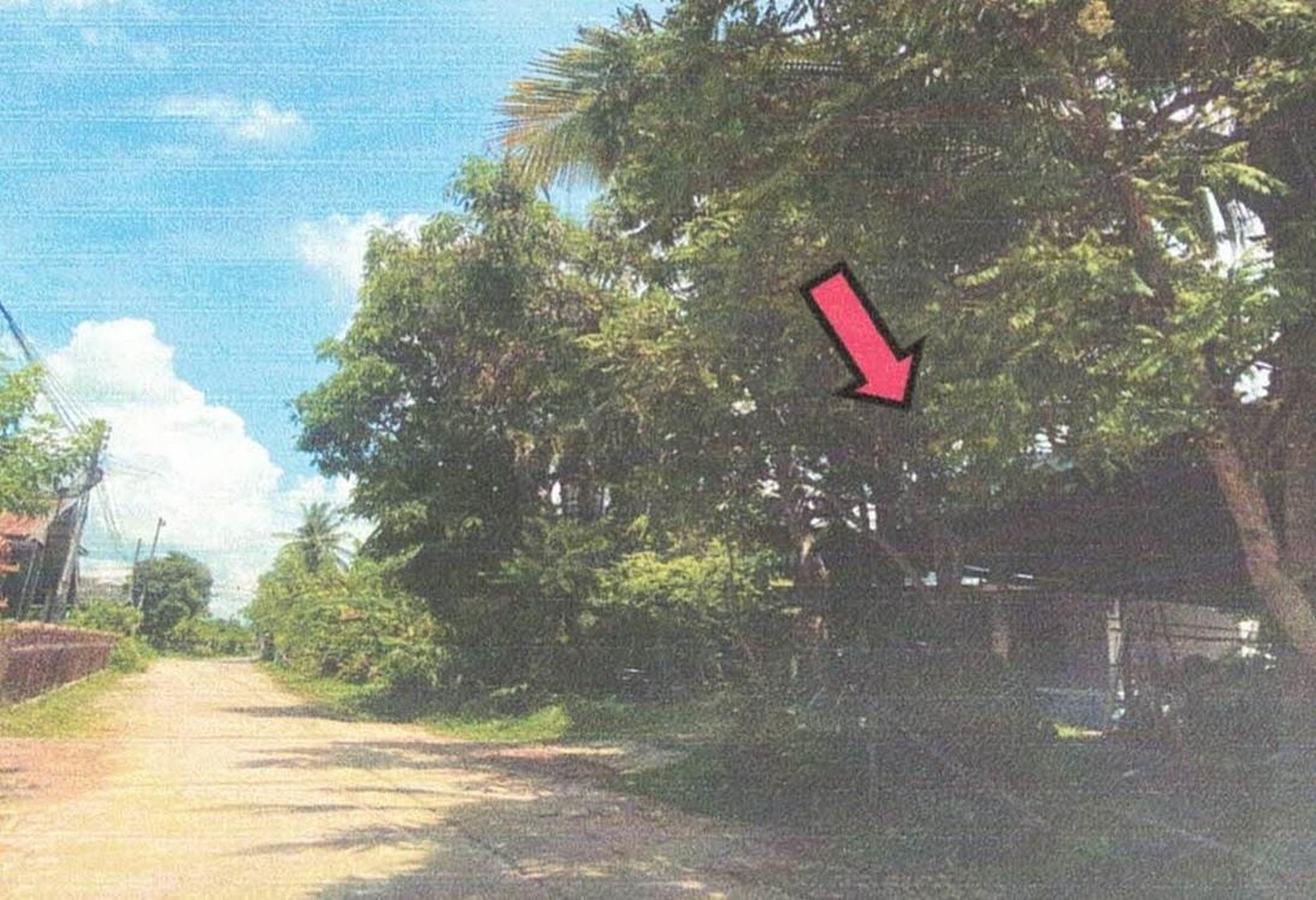 ทรัพย์สถาบันโดย อาคารสงเคราะห์ บ้านเดี่ยว บ้านหนองกุง