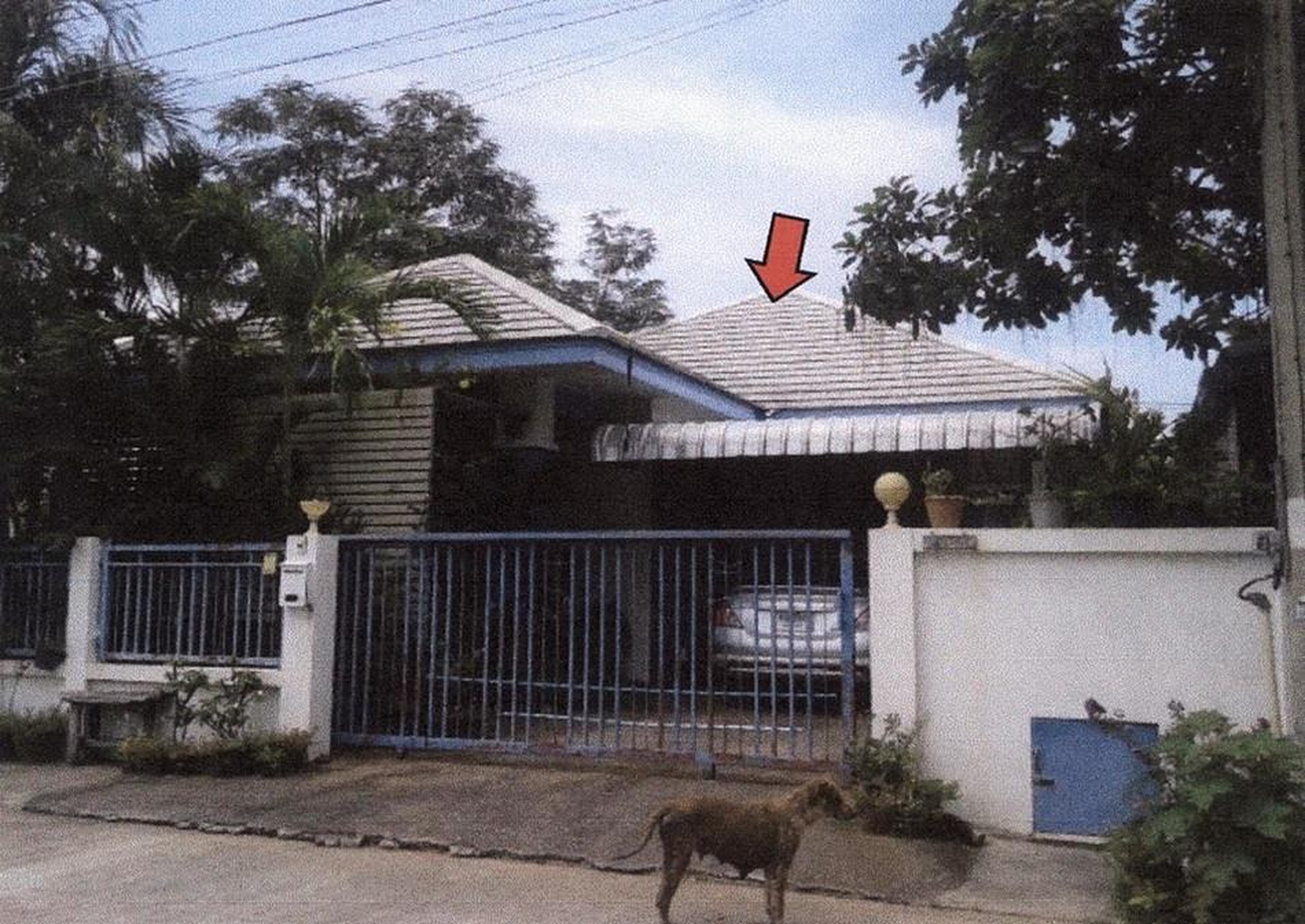 ทรัพย์สถาบันโดย อาคารสงเคราะห์ บ้านเดี่ยว เดอะวินเทอร์