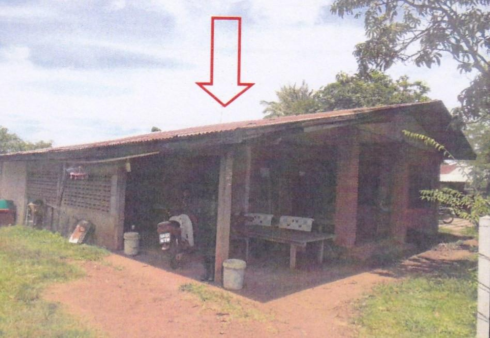 ทรัพย์สถาบันโดย อาคารสงเคราะห์ บ้านเดี่ยว นาพู่