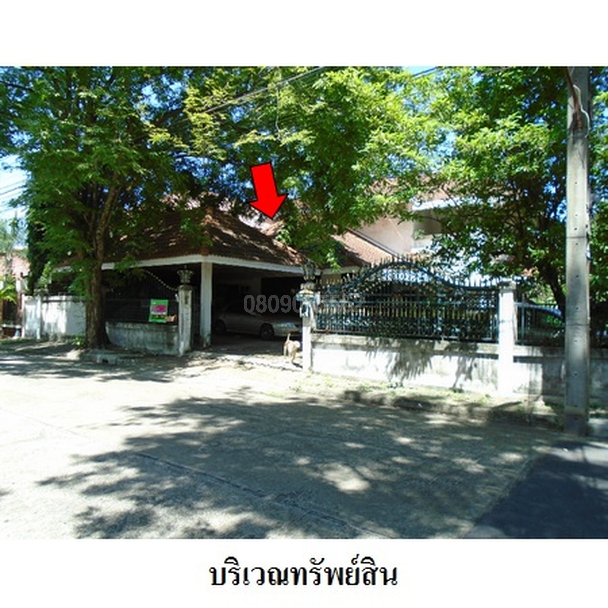 ขายบ้านเดี่ยว เอเวอร์กรีนวิลล์