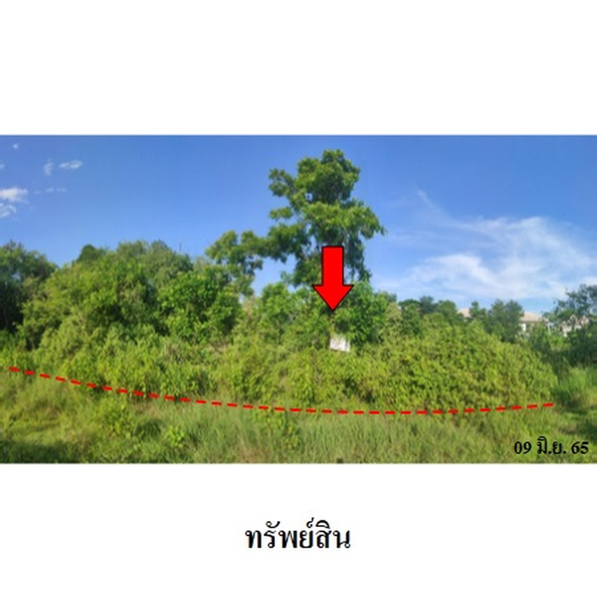ขายบ้านเดี่ยว ซอยแยกจาก ซ.สุขสันต์ ถนนกลางเมือง