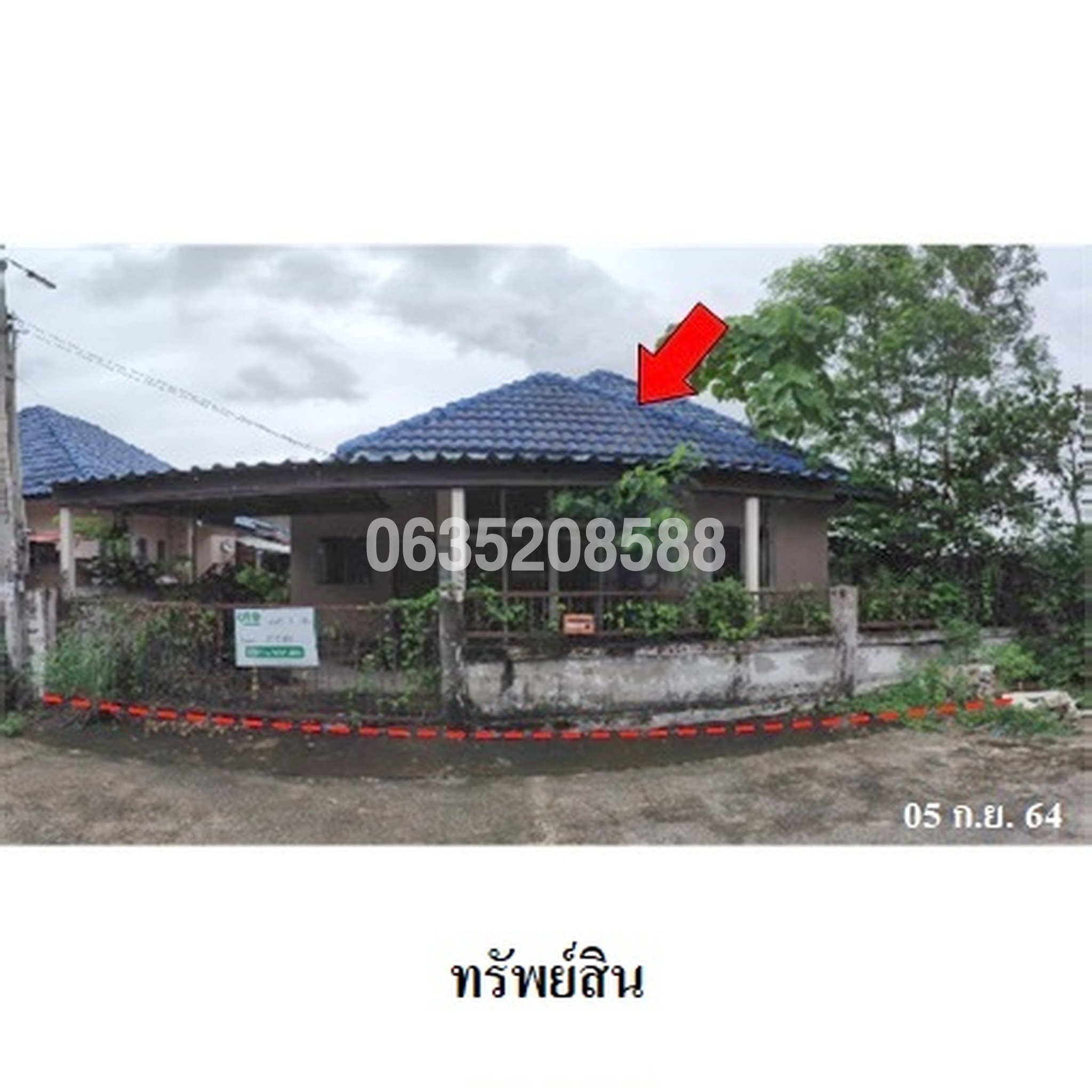 ขายบ้านเดี่ยว พีนัท