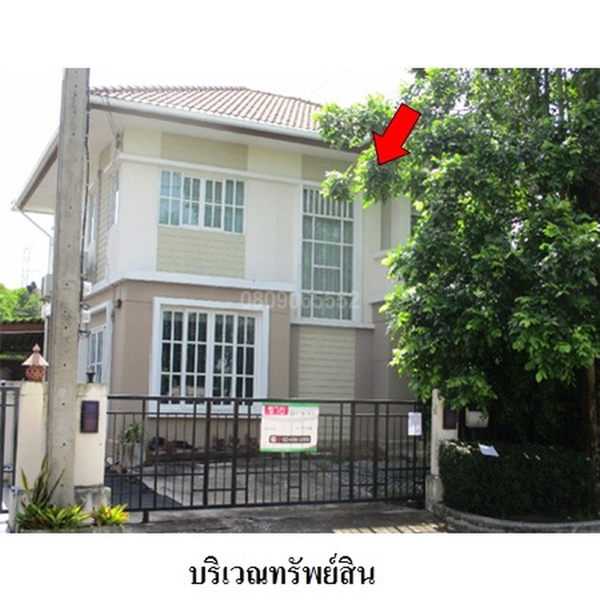 ขายบ้านเดี่ยว เนเชอร่า