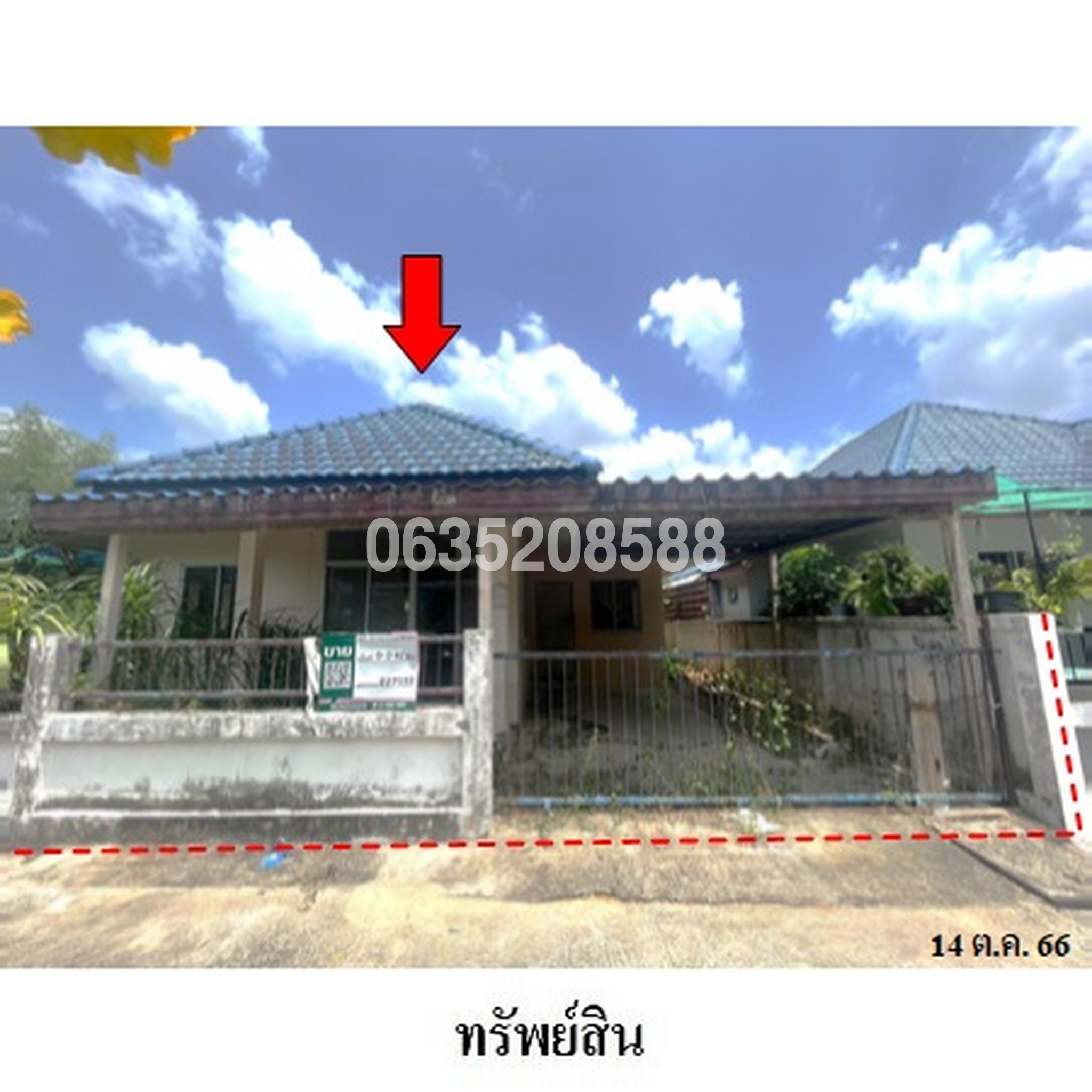 ขายบ้านเดี่ยว พีนัท
